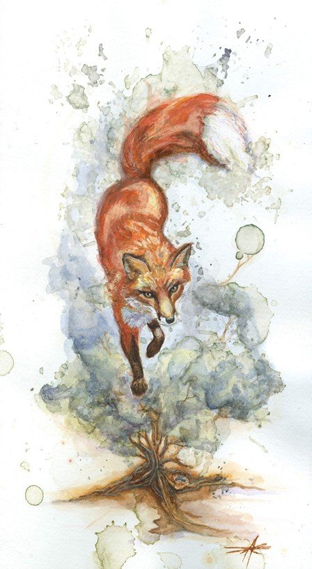Fox