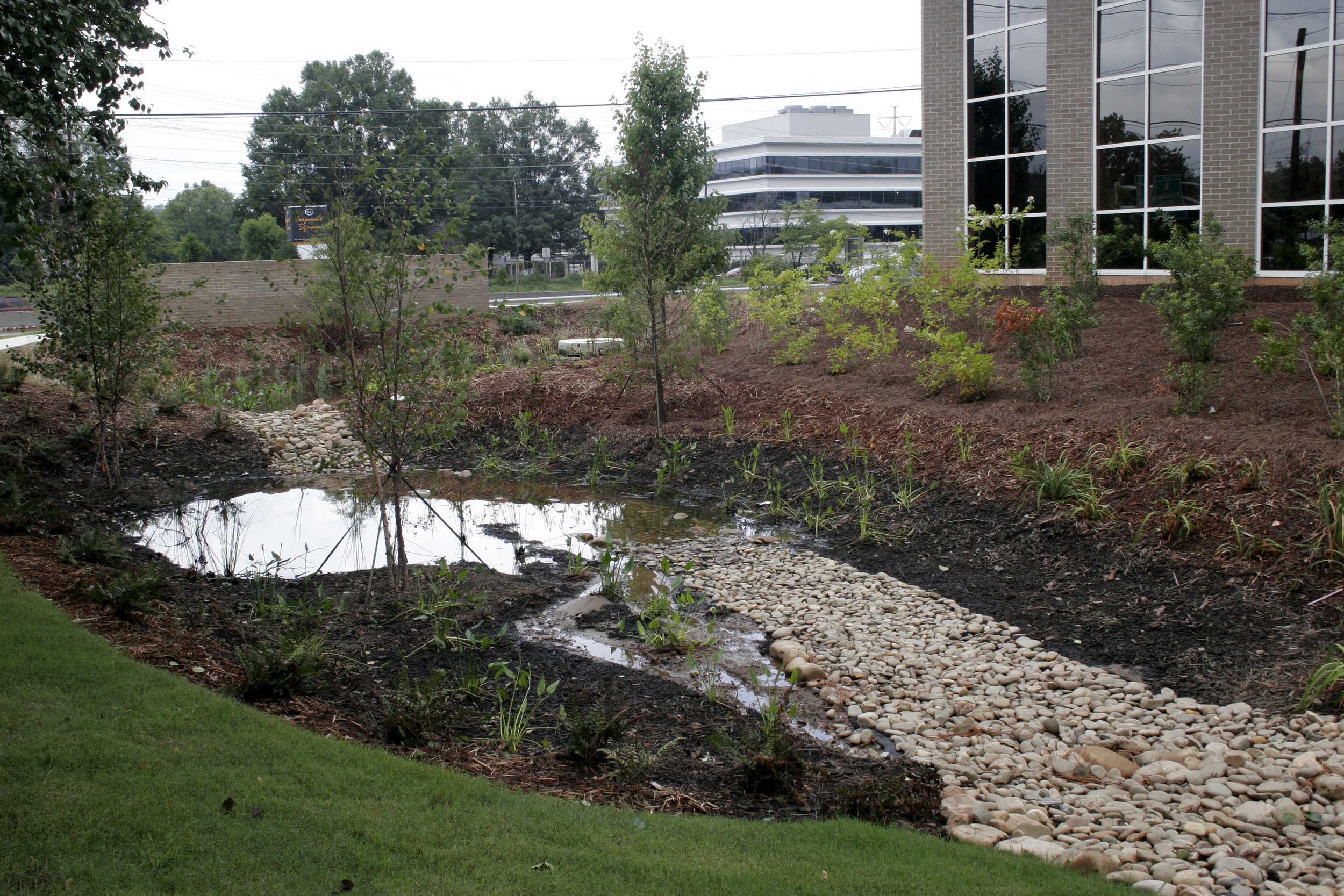 ASHRAE_BioSwale.jpg