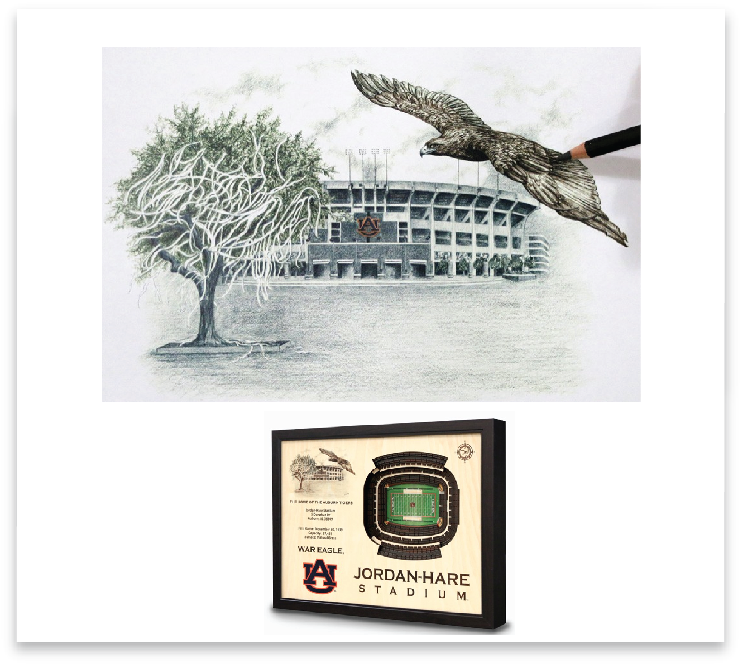 Stadium Views: A detailed pencil drawing of Jordan-Hare Stadium.