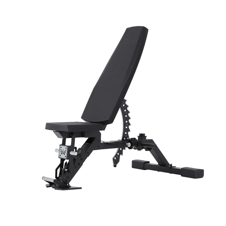 Adjustable workout bench with padded seat and backrest