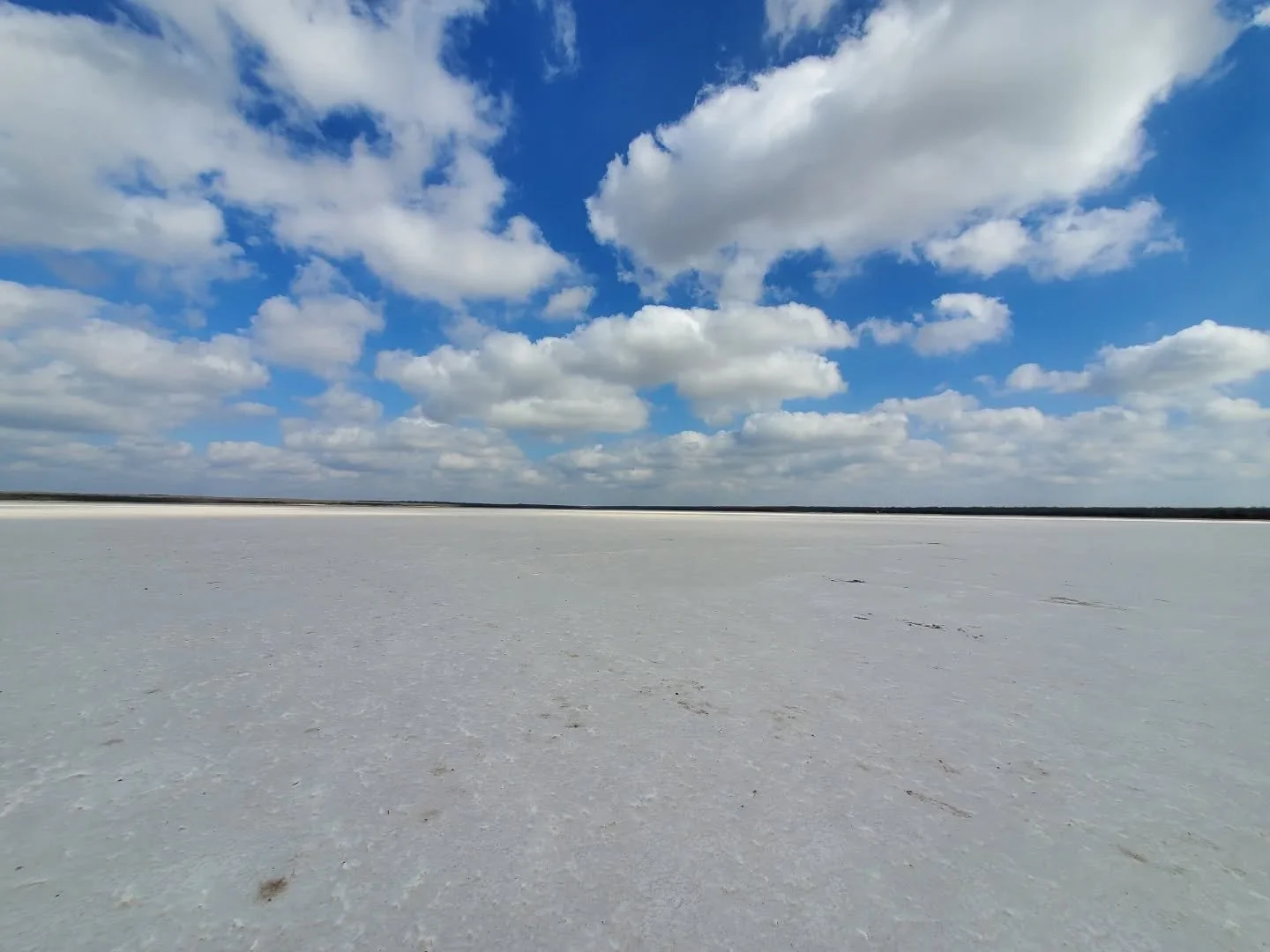 Purify yourself at the salt deposits of La Sal del Rey. 🧘&zwj;♀️✨️

We had a great time with our community today! If you missed today don't worry--We plan to have more times like this in the future. 

#lasaldelrey 
#rgv
#956
#hike
#saltlake