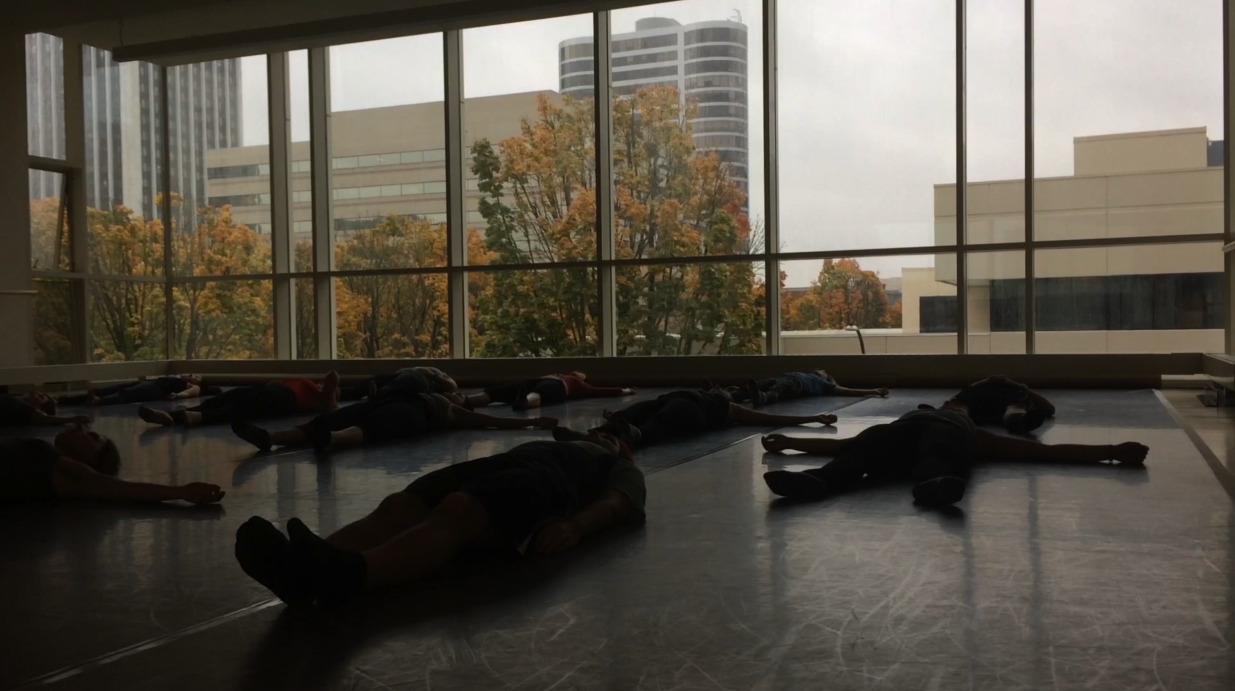 "Diary" Experimental Video 2016