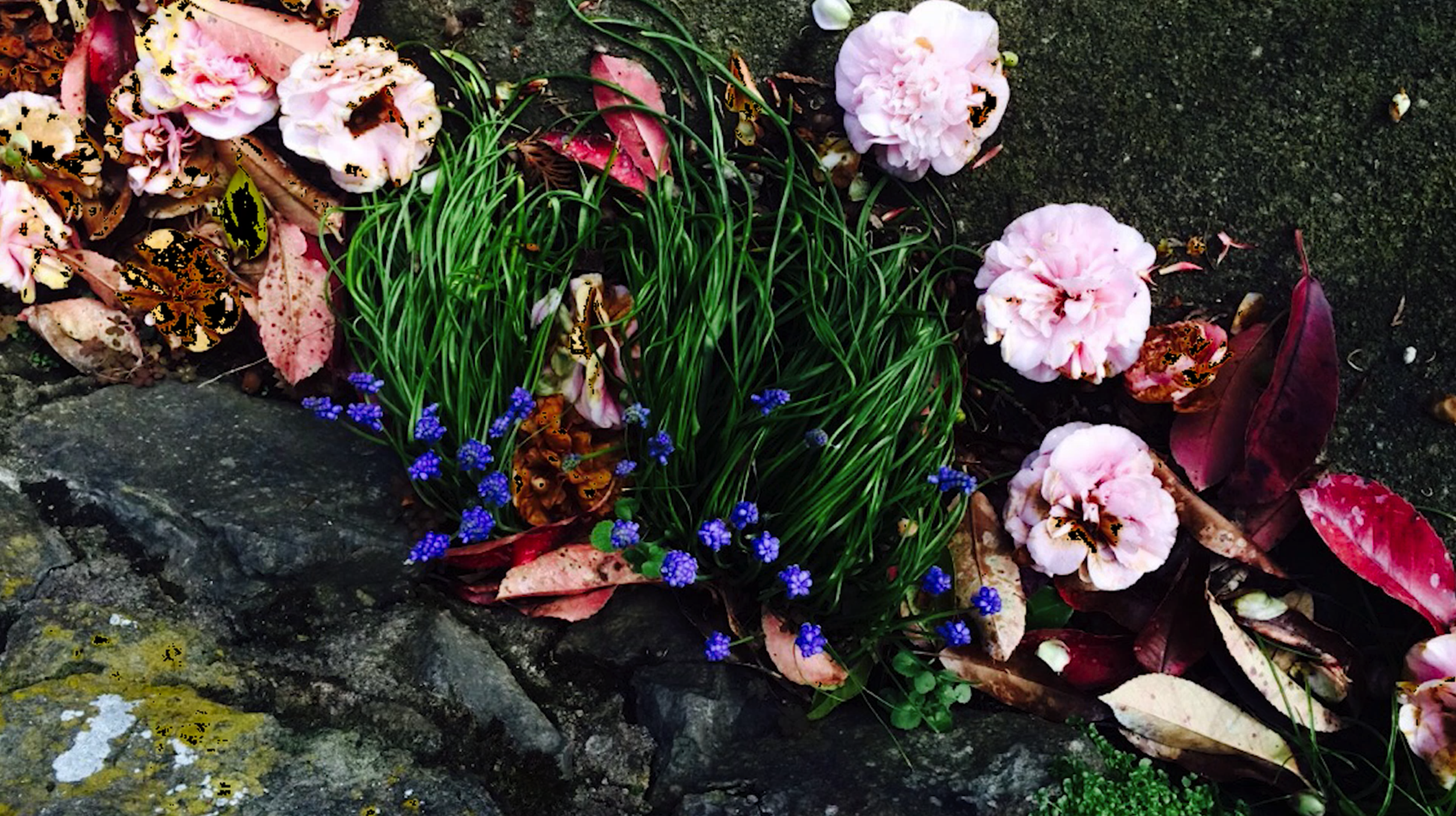 "Songs from Friday Afternoons" Experimental Video 2017