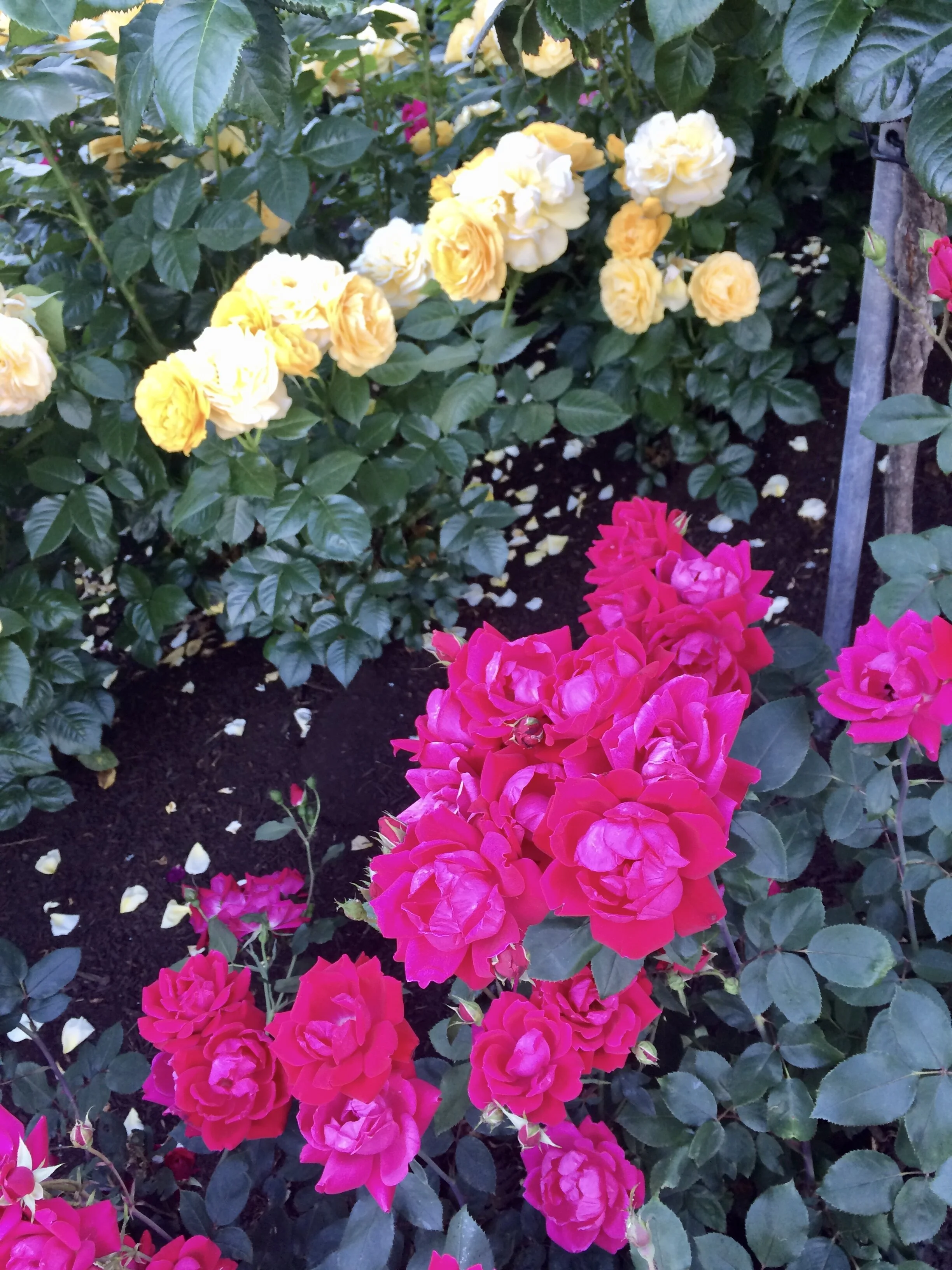 "Turn the River" Movie Review 2018