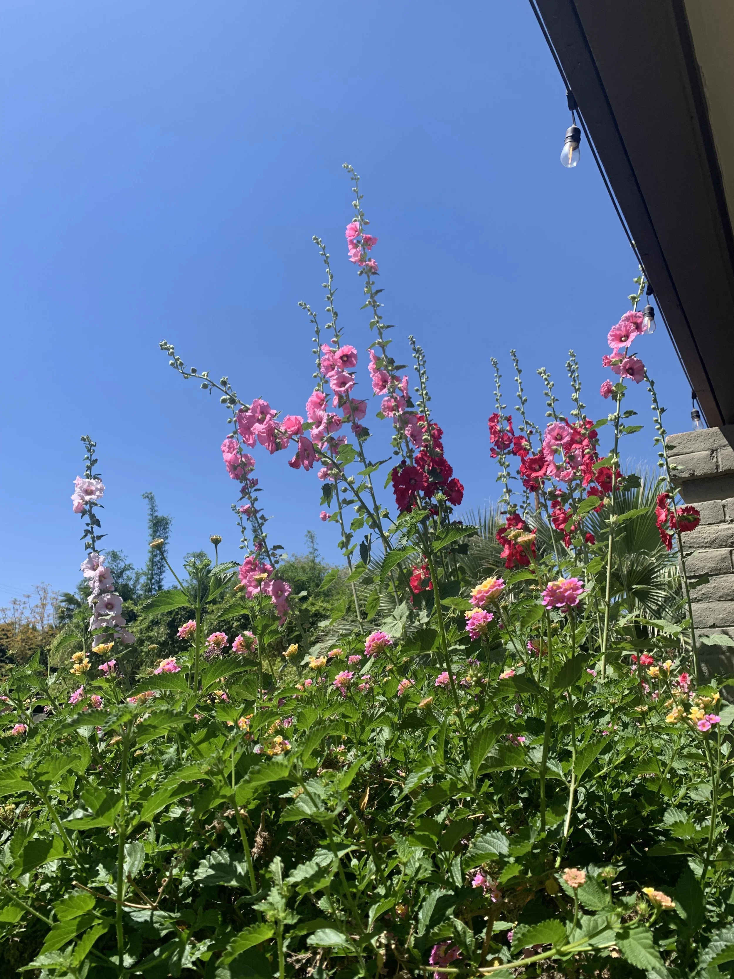 "Lost & Found" Feature Script 2024