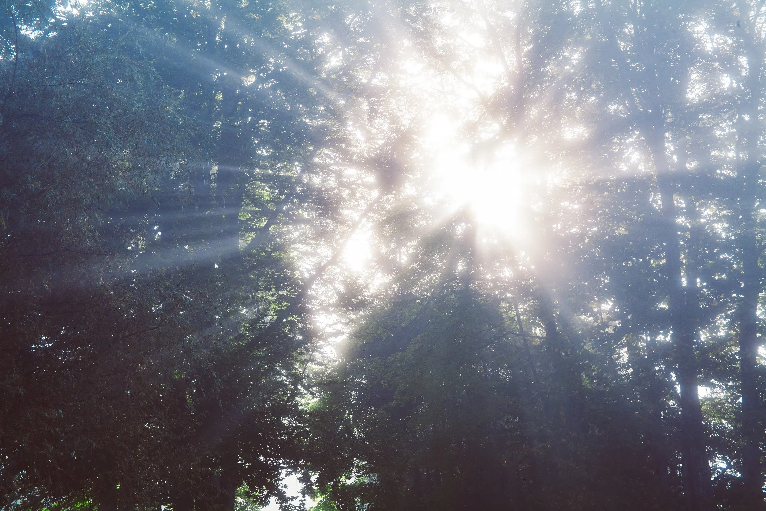 Cultivating Spiritual Discernment
