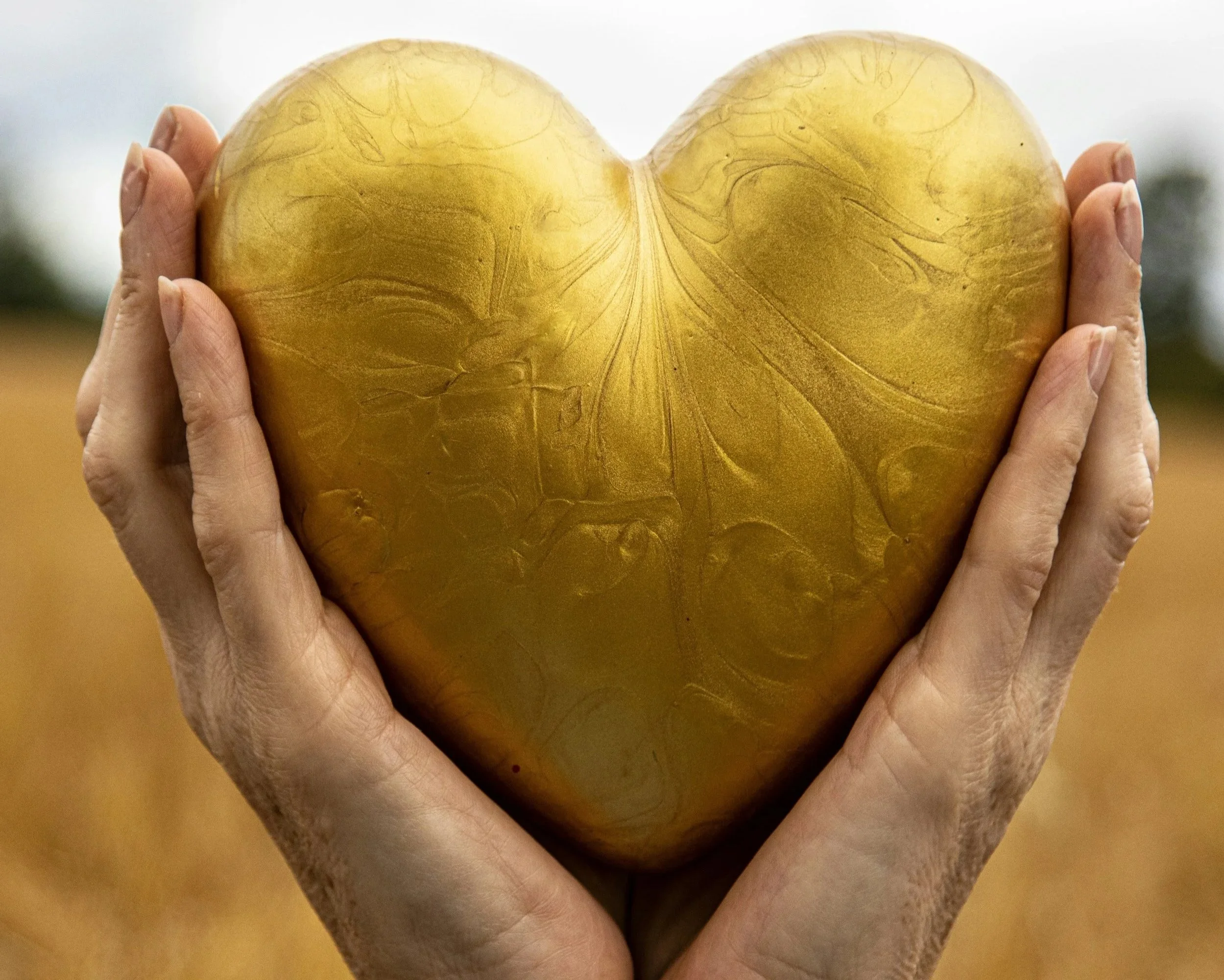 Guard of Heart Series