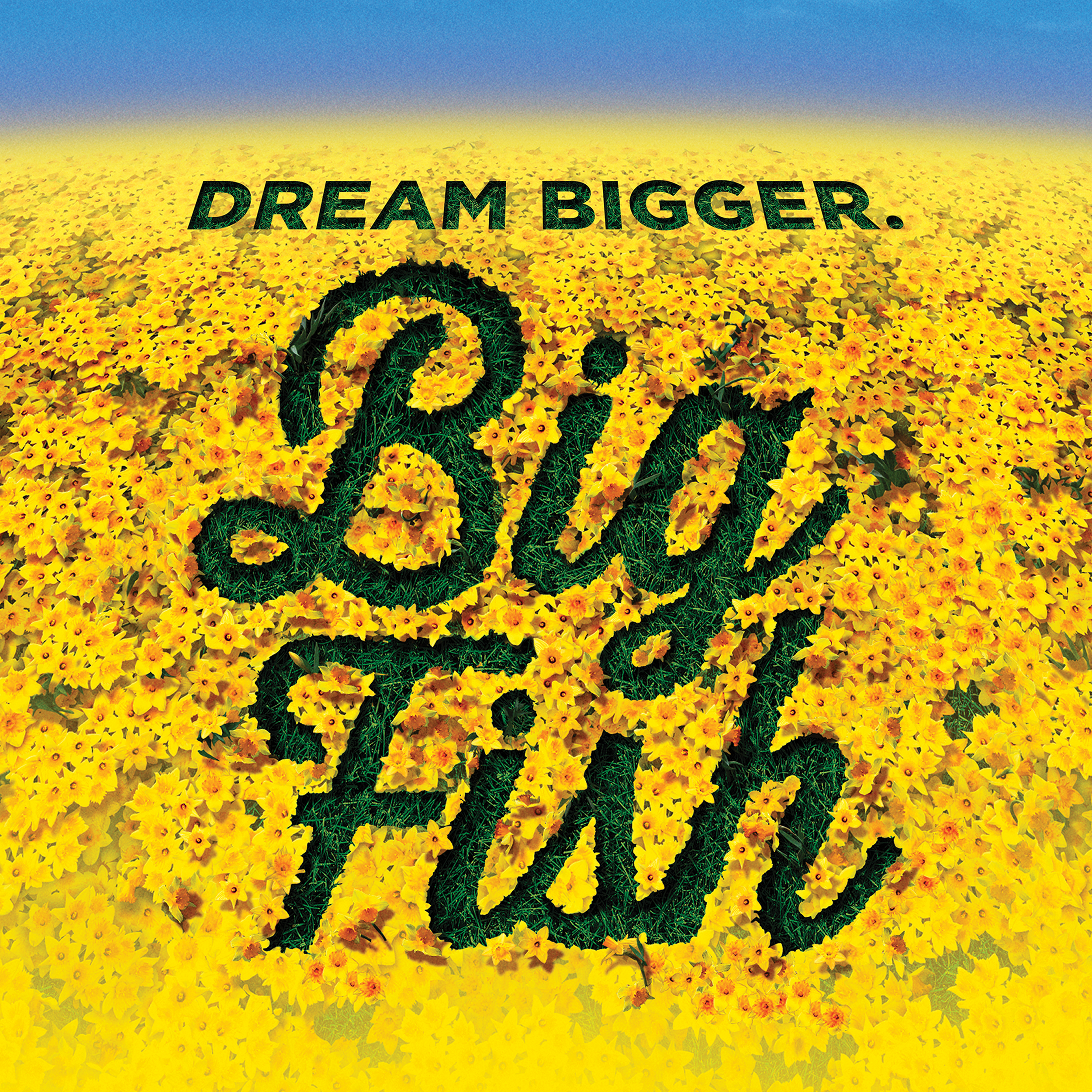 Big Fish