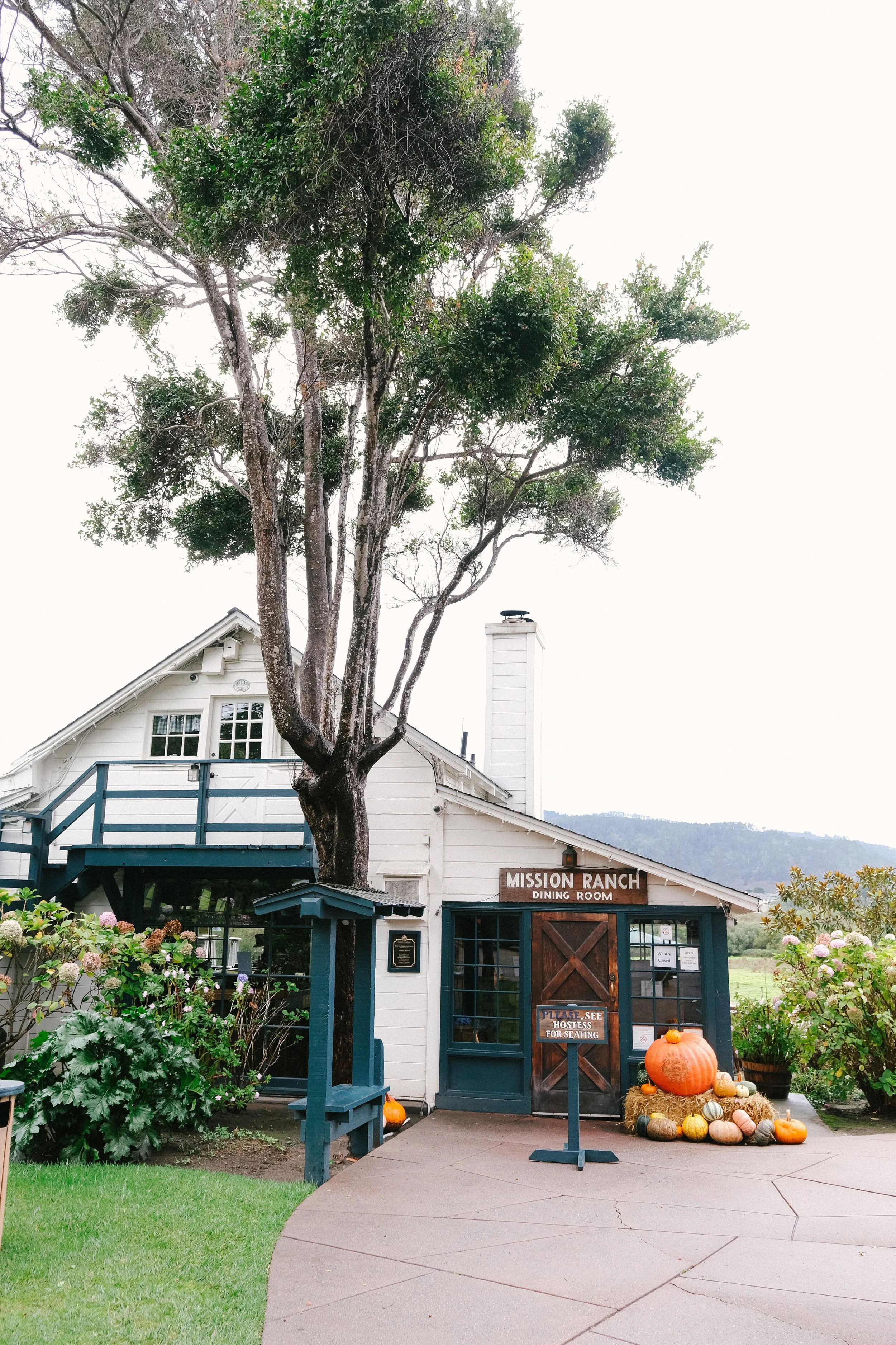 carmel-065.jpg