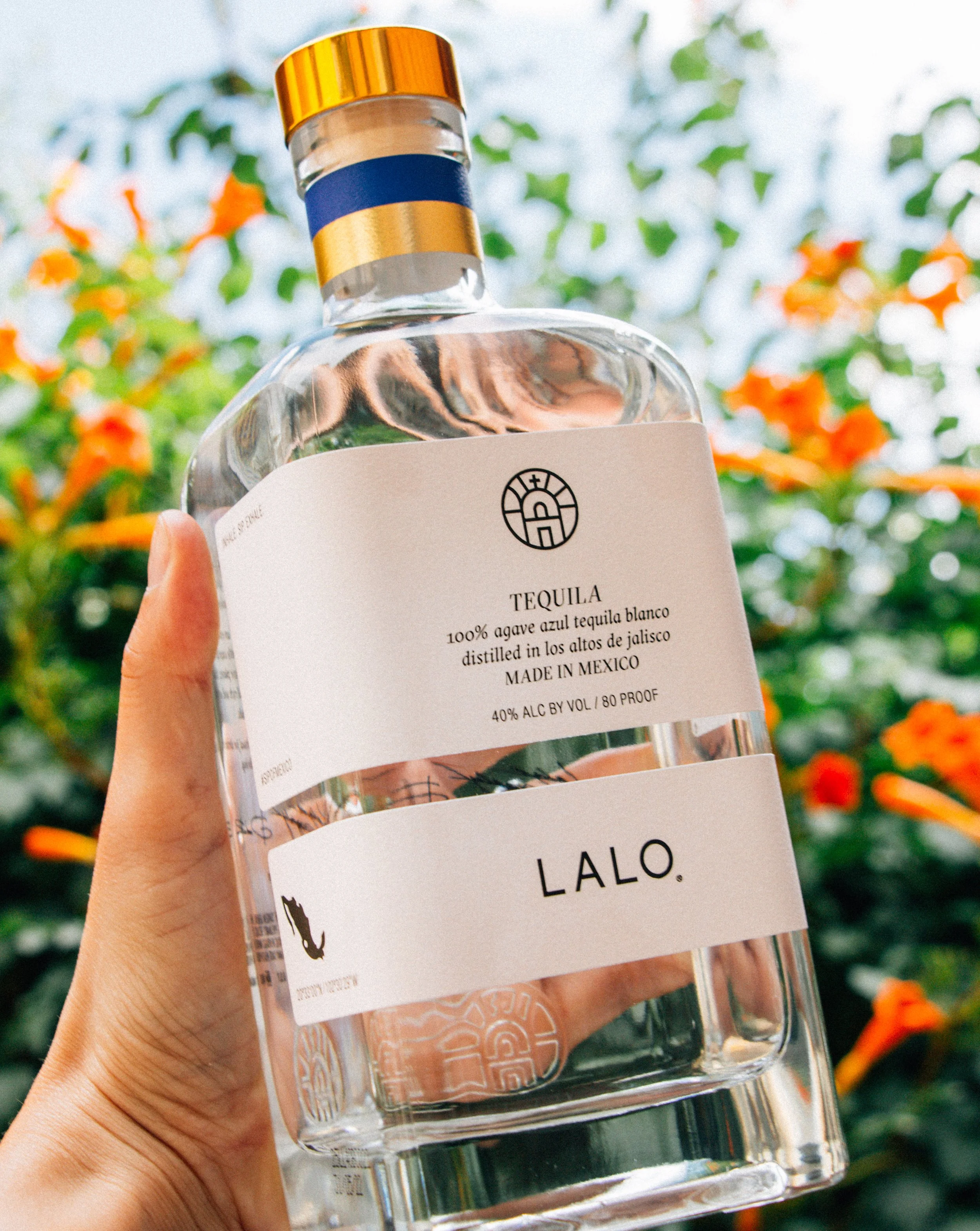 LALO-elleternes-3.jpg