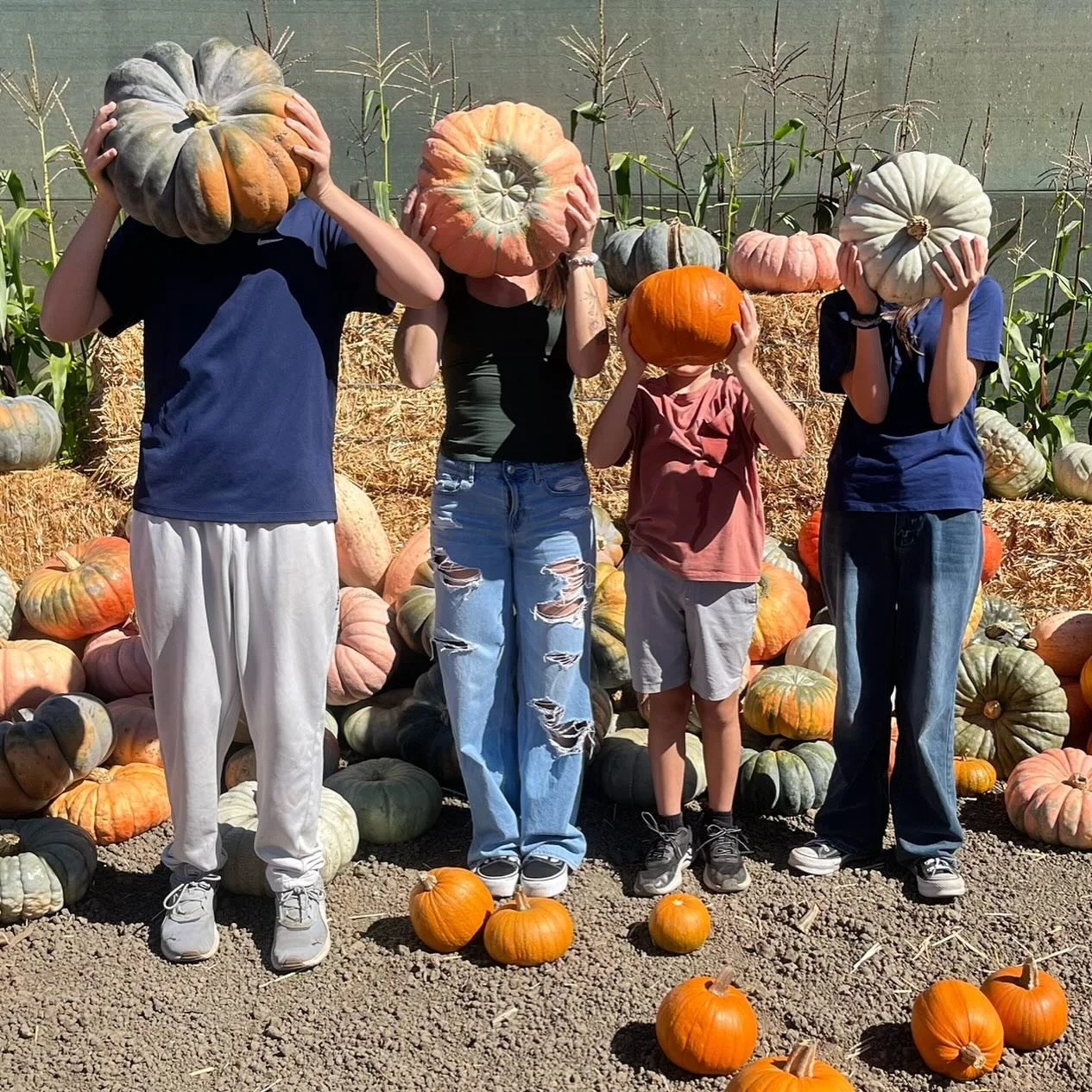 Fall &amp; Family 🍁