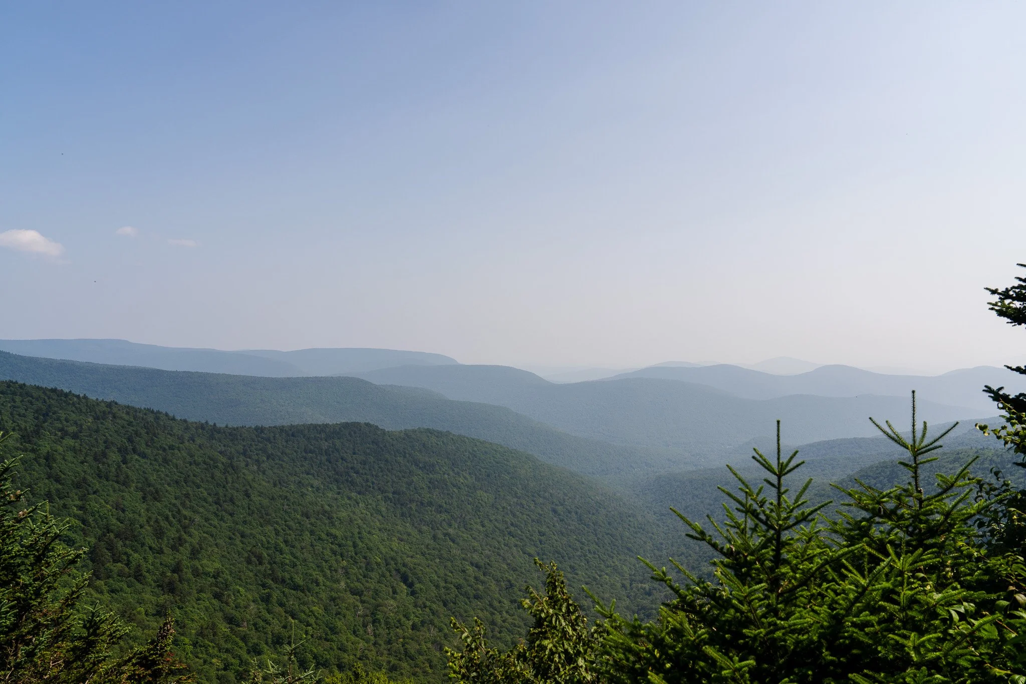 DSC06991 - Copy.jpg