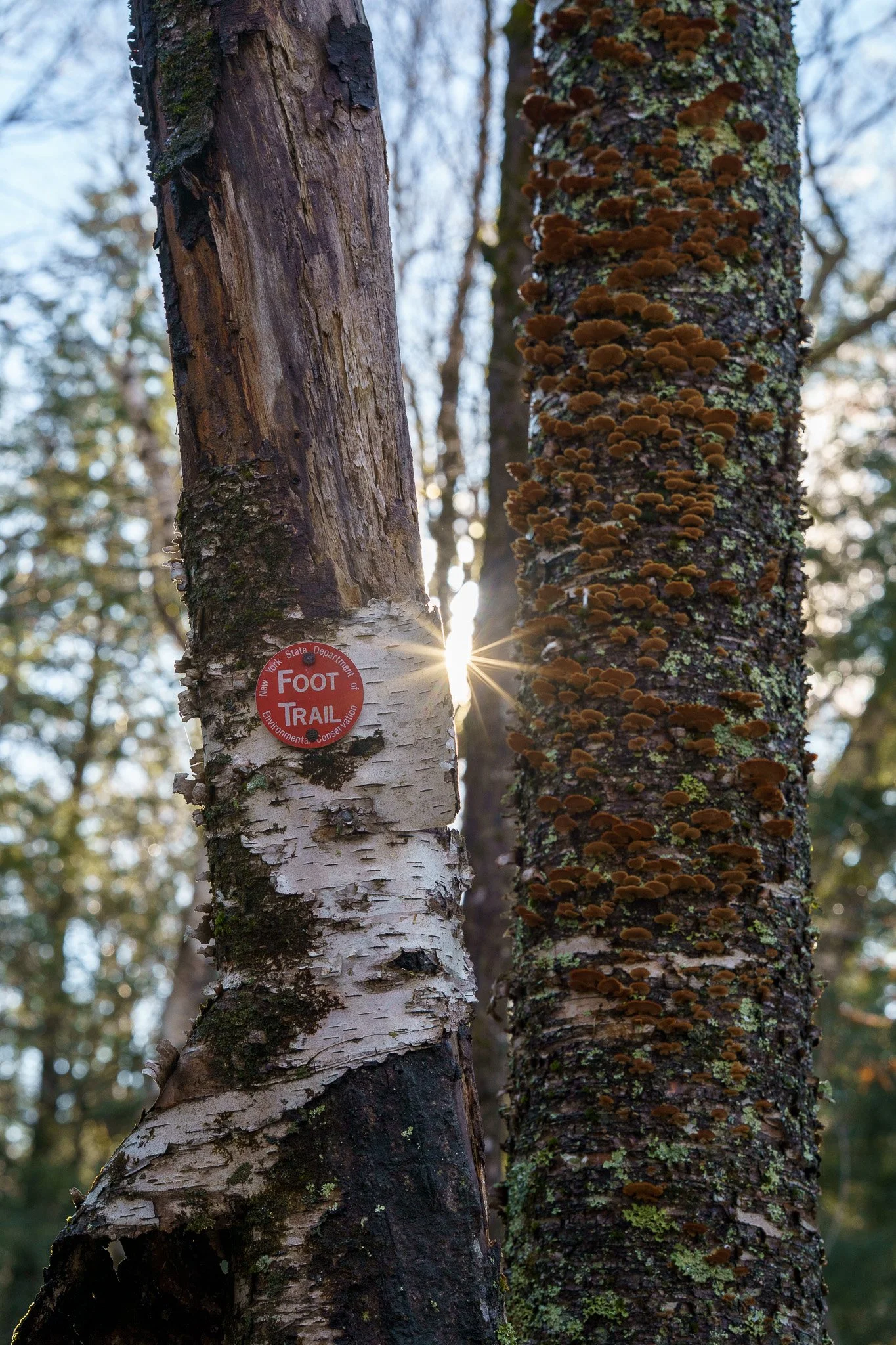 RAW00818.jpg