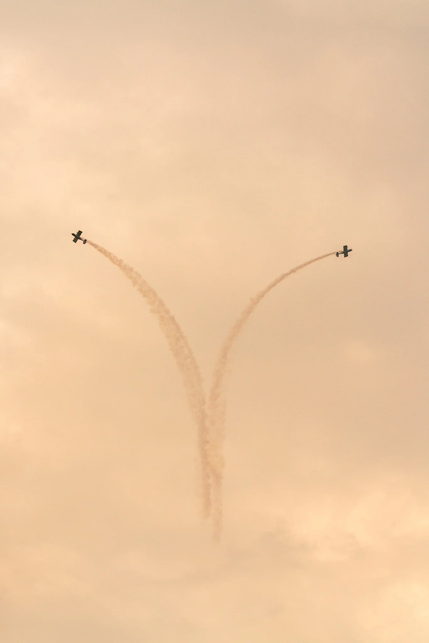 DSC04970.jpg