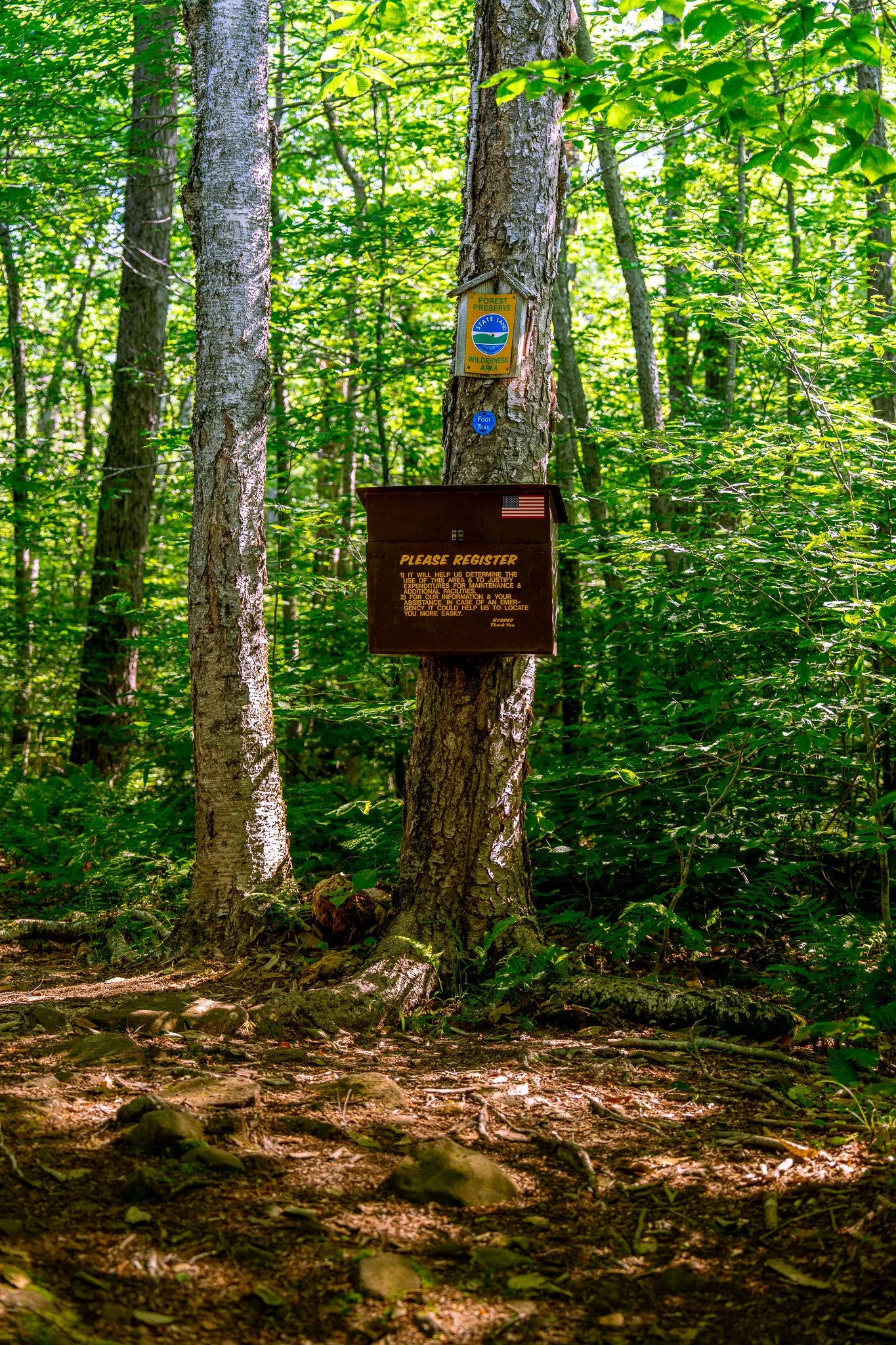 DSC05413.jpg
