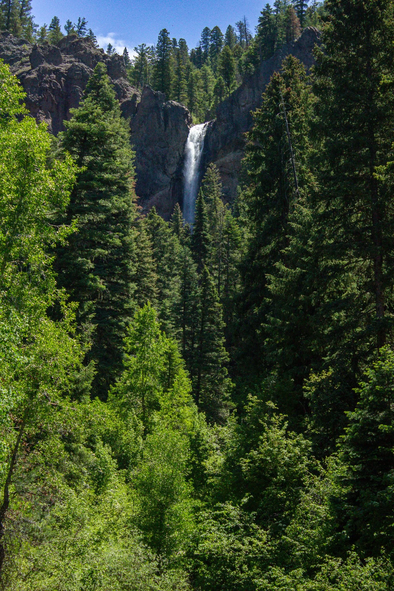 IMG_9877.jpg