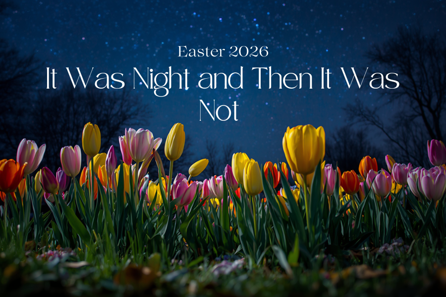 It Was Night and Then It Was Not
