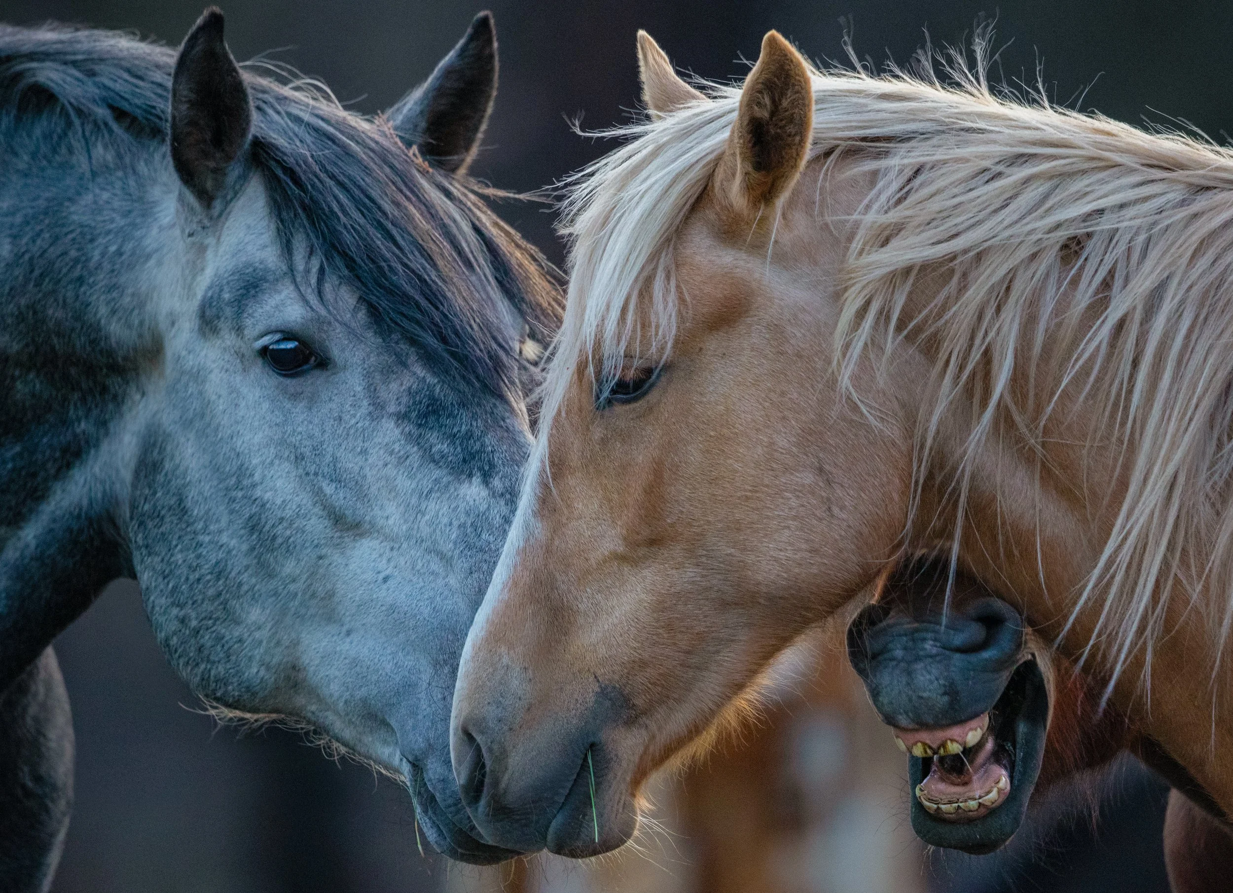 JL9A0412-4-Edit (4).jpg