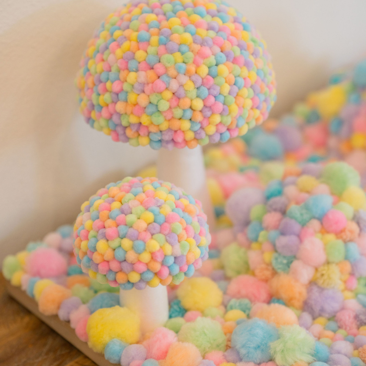 Pom-Pom Frame Workshop