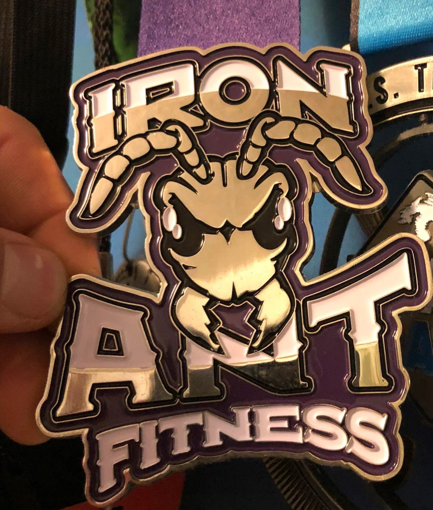 &ldquo;Without passion, you don&rsquo;t have energy. Without energy, you have nothing.&rdquo;

#ironantfitness #iaf #MarchOn