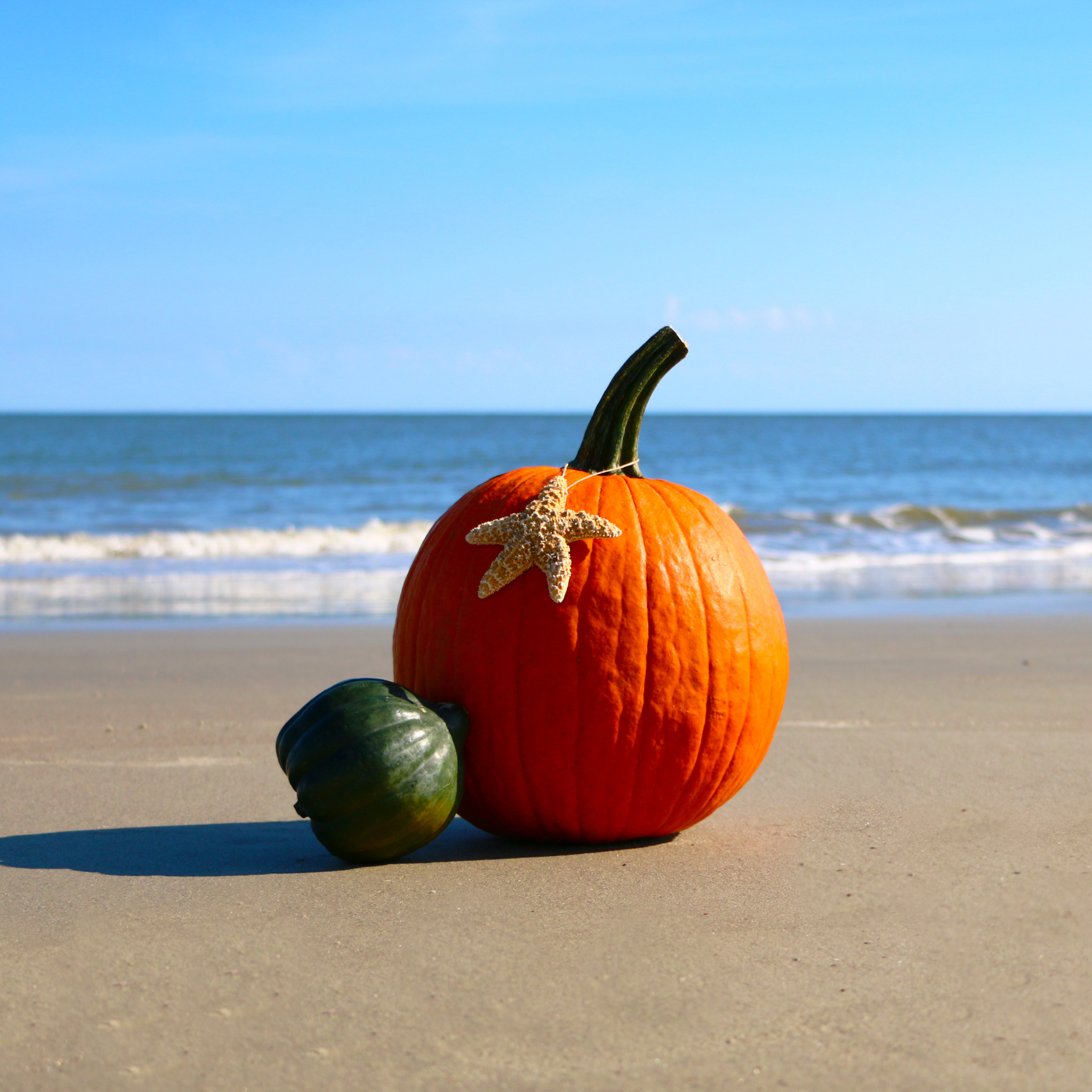 Fall Skincare in Florida: Why You Still Need Sunscreen (and a Moisturizer)