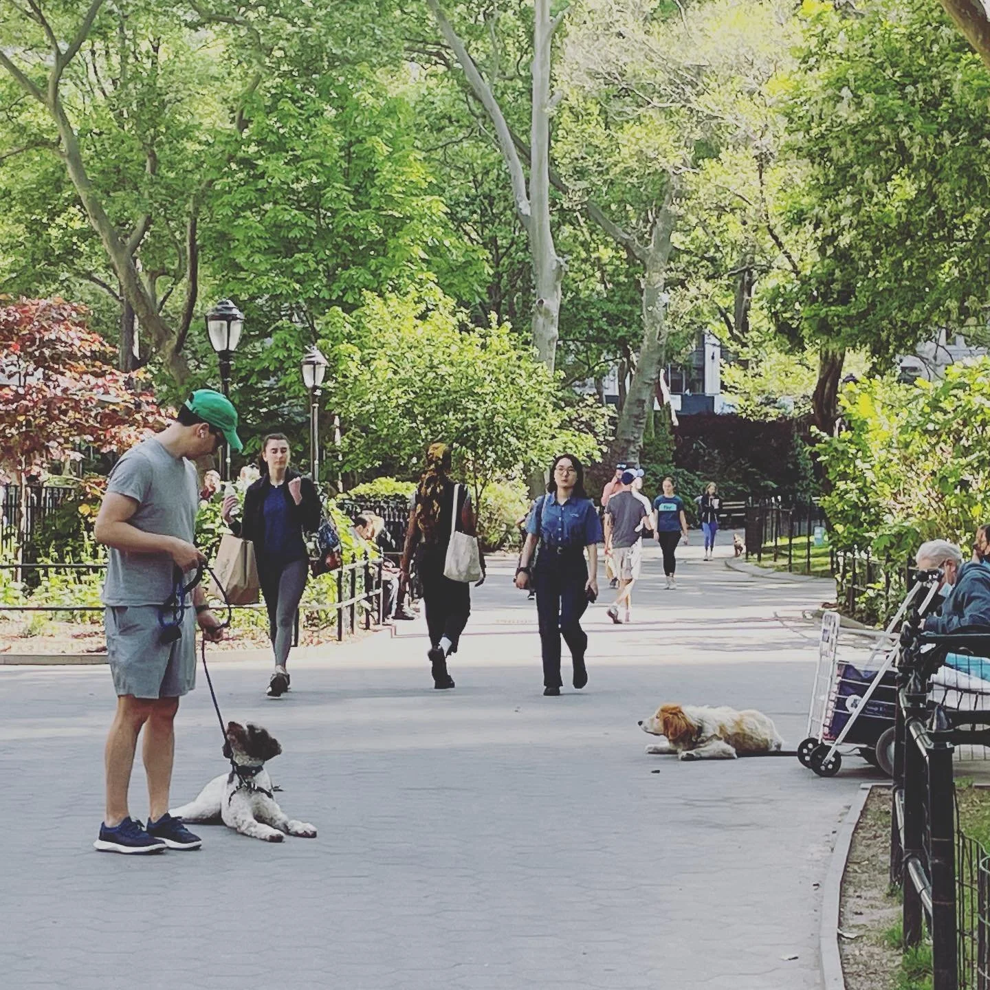 The thing I love about cities is walking around and being surrounded by weirdness and awesomeness and life. In this instance, the dog on the left DESPERATELY wanted to stay and hang out with the dog on the right (ideally, in a perfectly PRONE positio