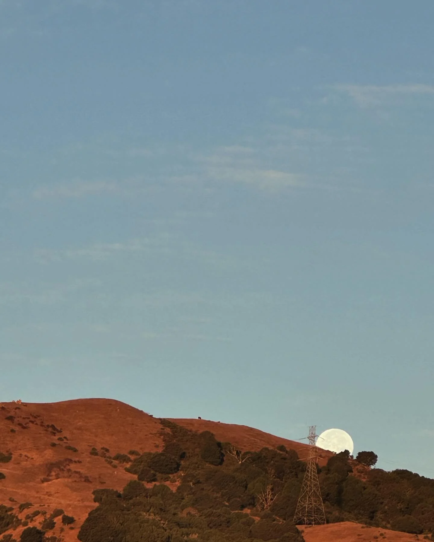 Hello, friends! I went for a walk early this morning and happened upon THIS by total accident! Serious moon action! Apparently a full blue moon? I don&rsquo;t know, but a surprise gift on a Tuesday morning. I hope you&rsquo;re all well and finding a 