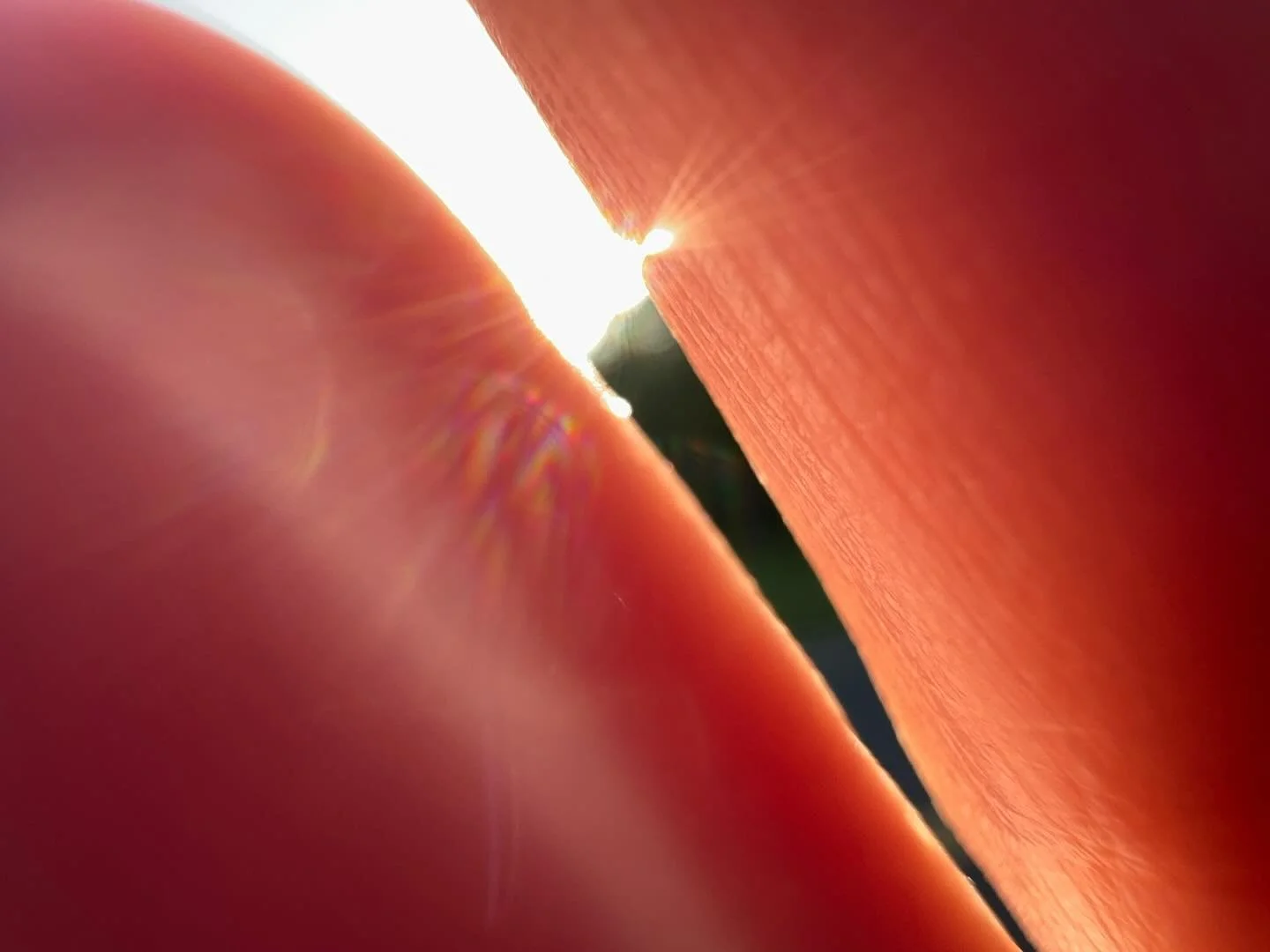 Hello, friends. I was out for a walk this evening and the flickering sunset was piercing my heart. I wanted to find a way of showing what it felt like&hellip; coming through my closed eyelids&hellip; bringing with it memories of quiet sand on a Massa