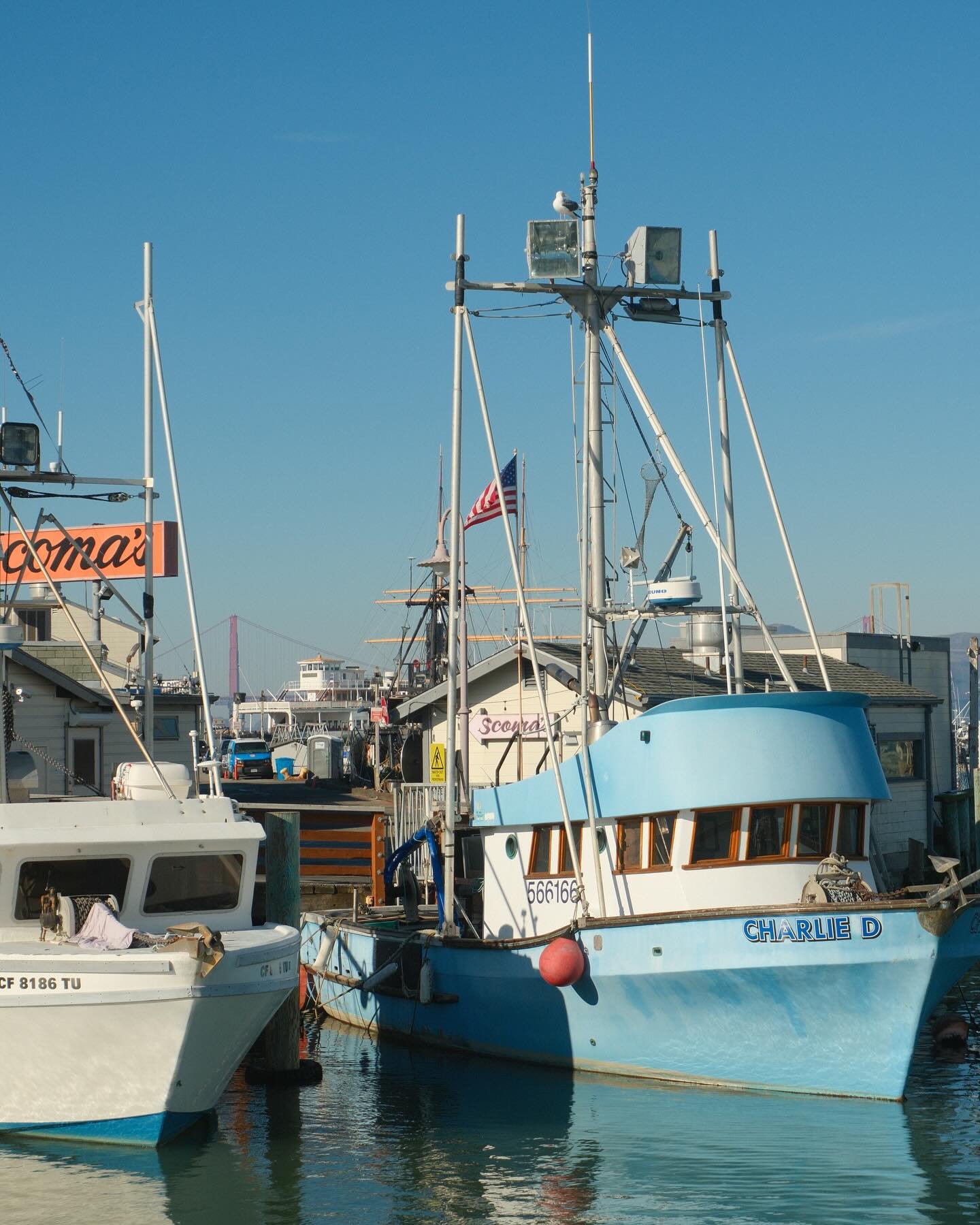 Part 2 of 3: Happy Monday, friends! Have you been to Pier 39 recently? Me either! In case you&rsquo;re wondering, it&rsquo;s got everything a tourist needs, including the wax museum, the Hard Rock Cafe, and Bubba Gump Shrimp!  And even though I am a 