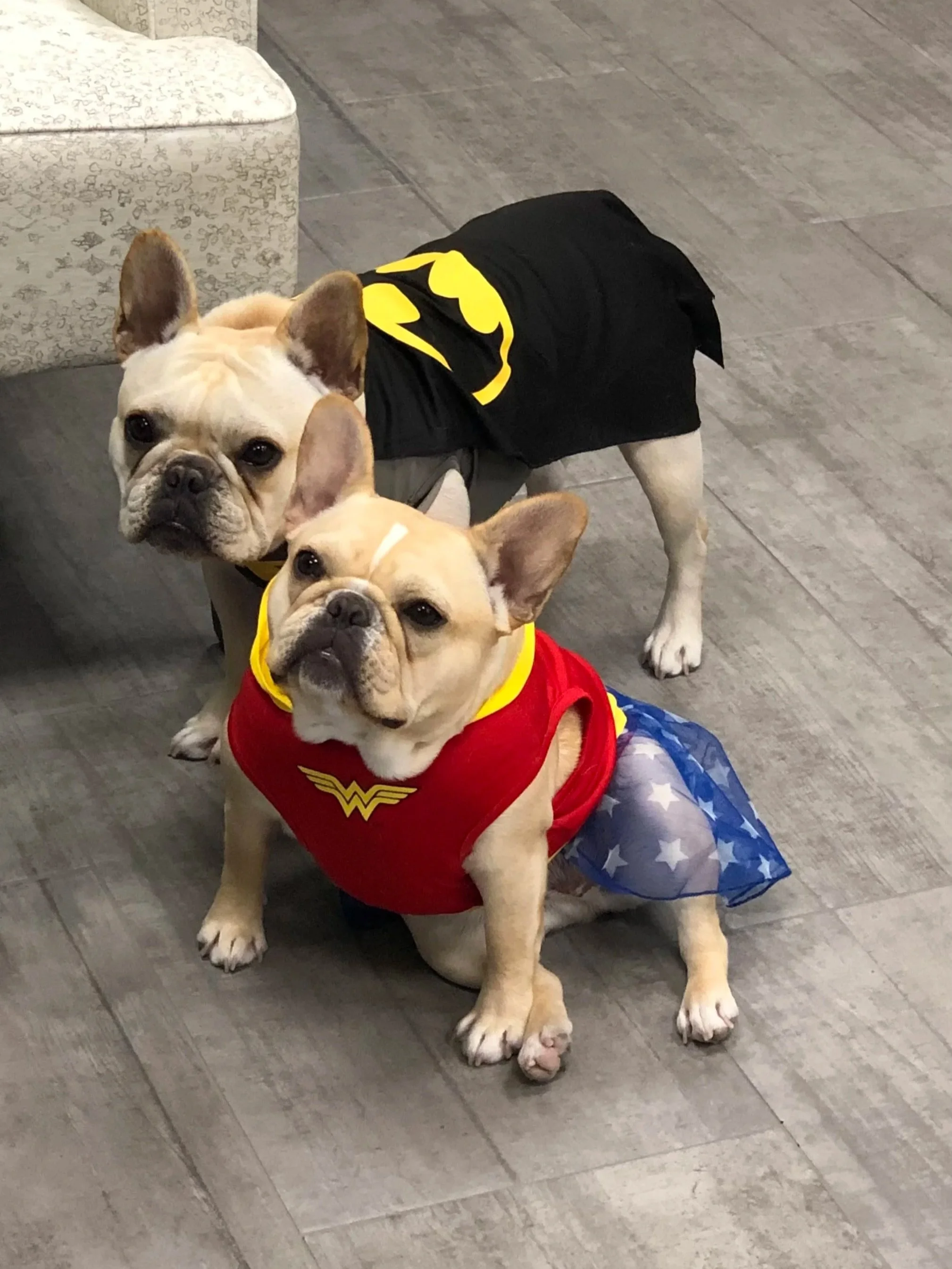 Rufus & Stella
