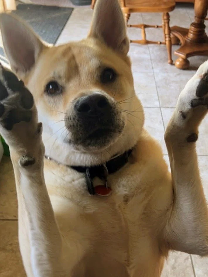 IMG_7992 Copy Copy-EDIT.jpg