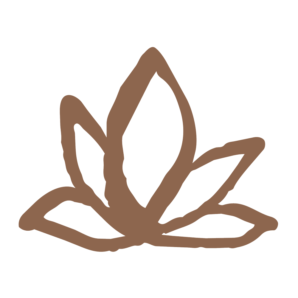 The Lymph Co | Brisbane Lymphatic Specialist & Massage
