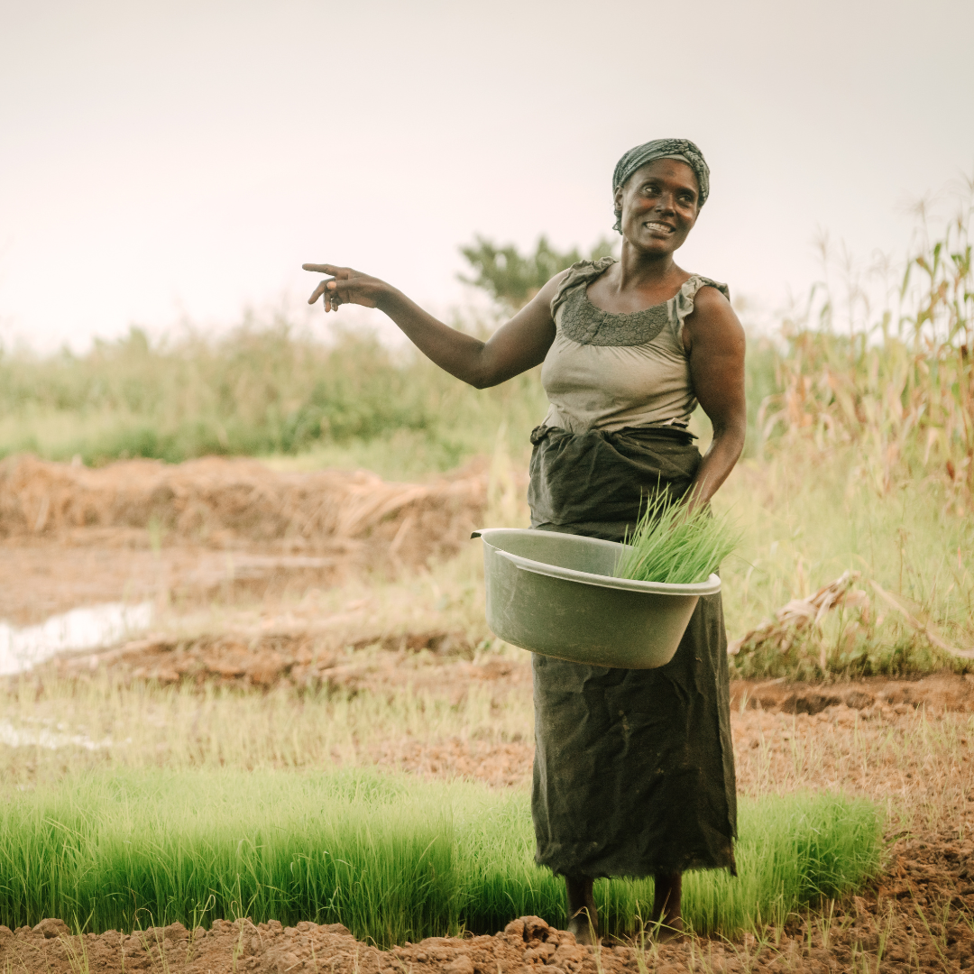 Module 5 – Climate Smart Agriculture Practices &amp; Adaptation Strategies