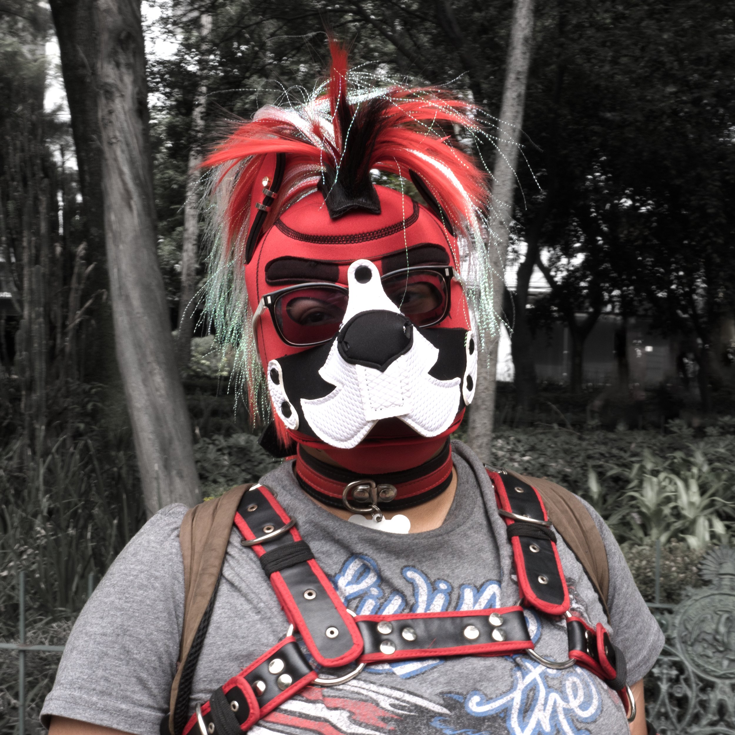 DSC00877.jpg