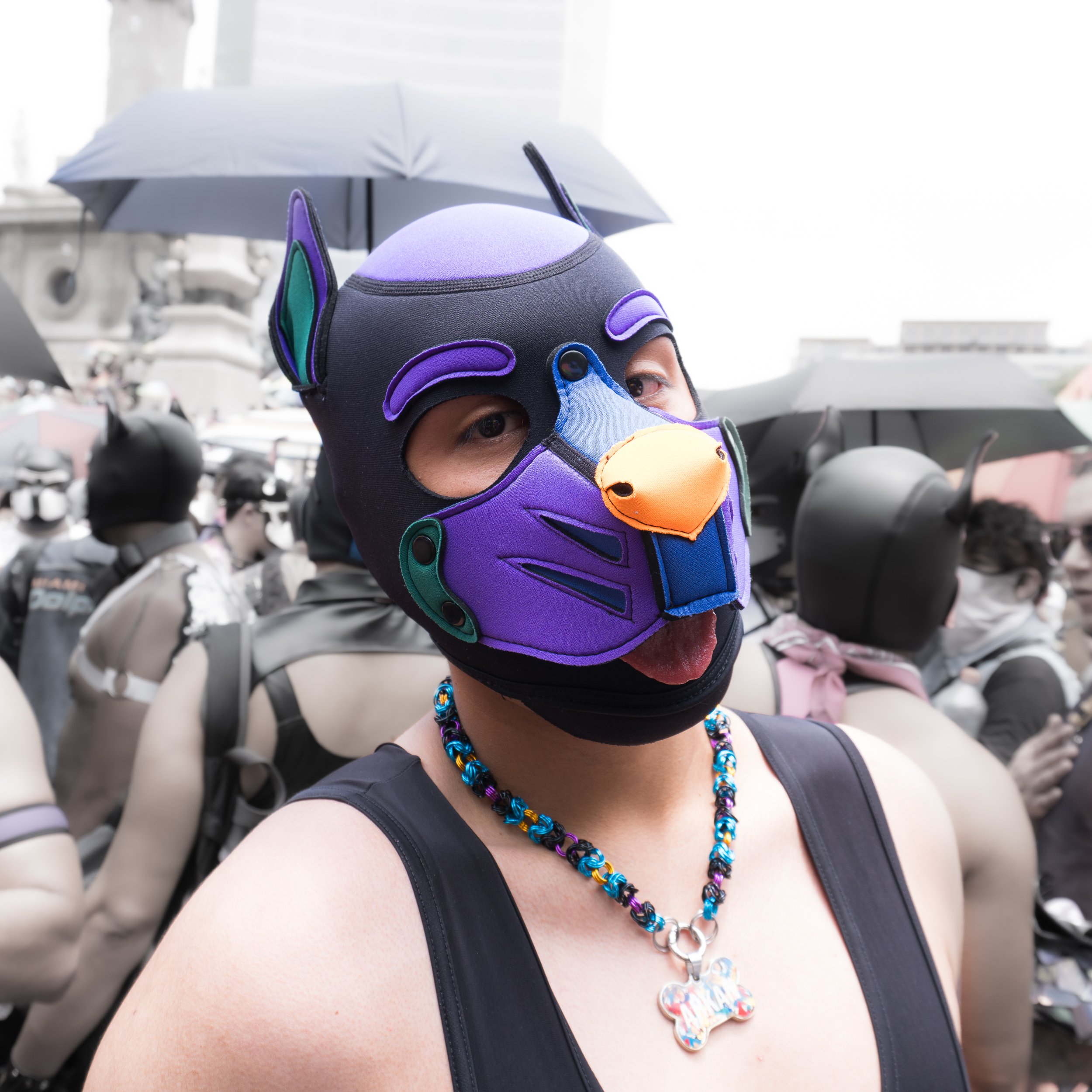DSC01044.jpg