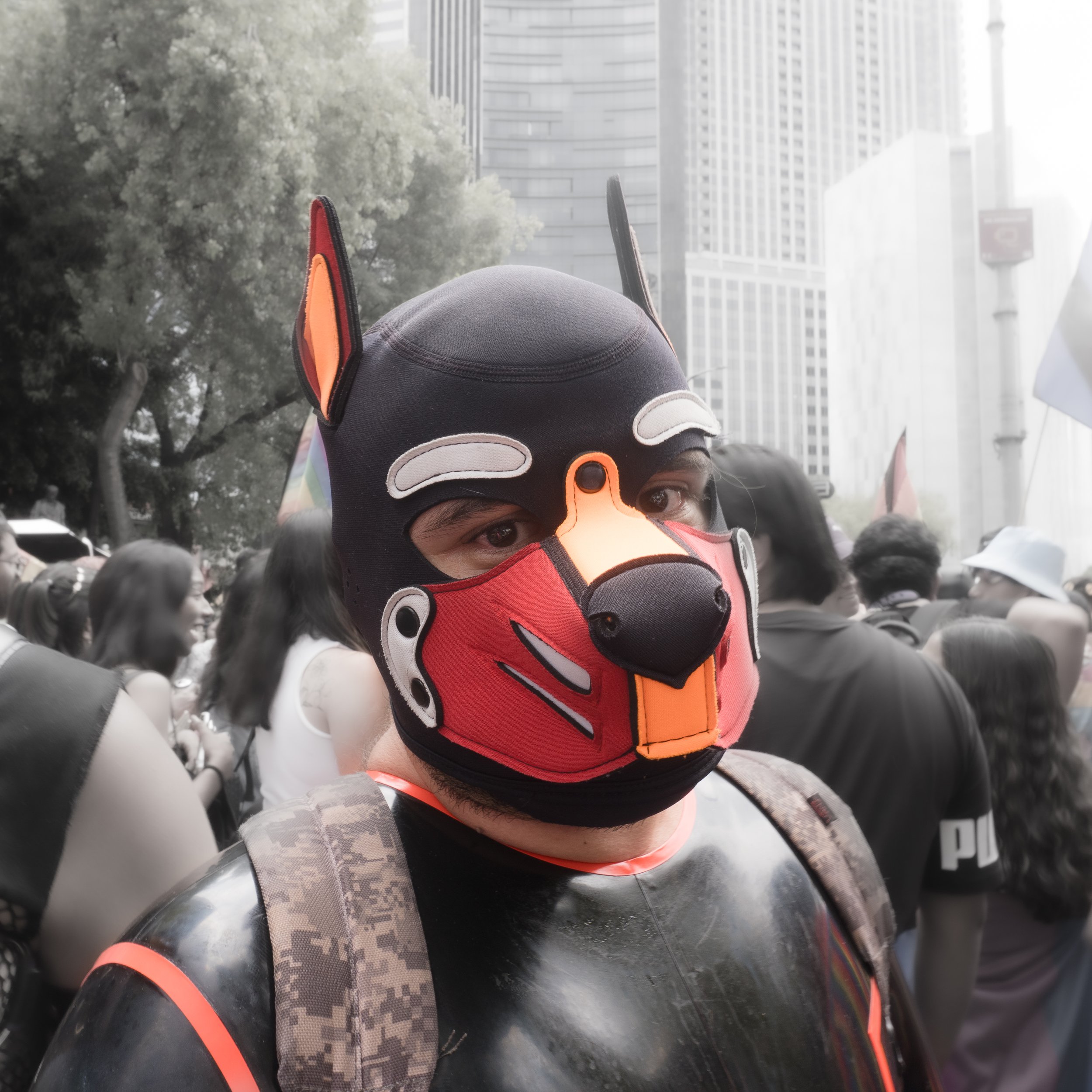 DSC01295.jpg
