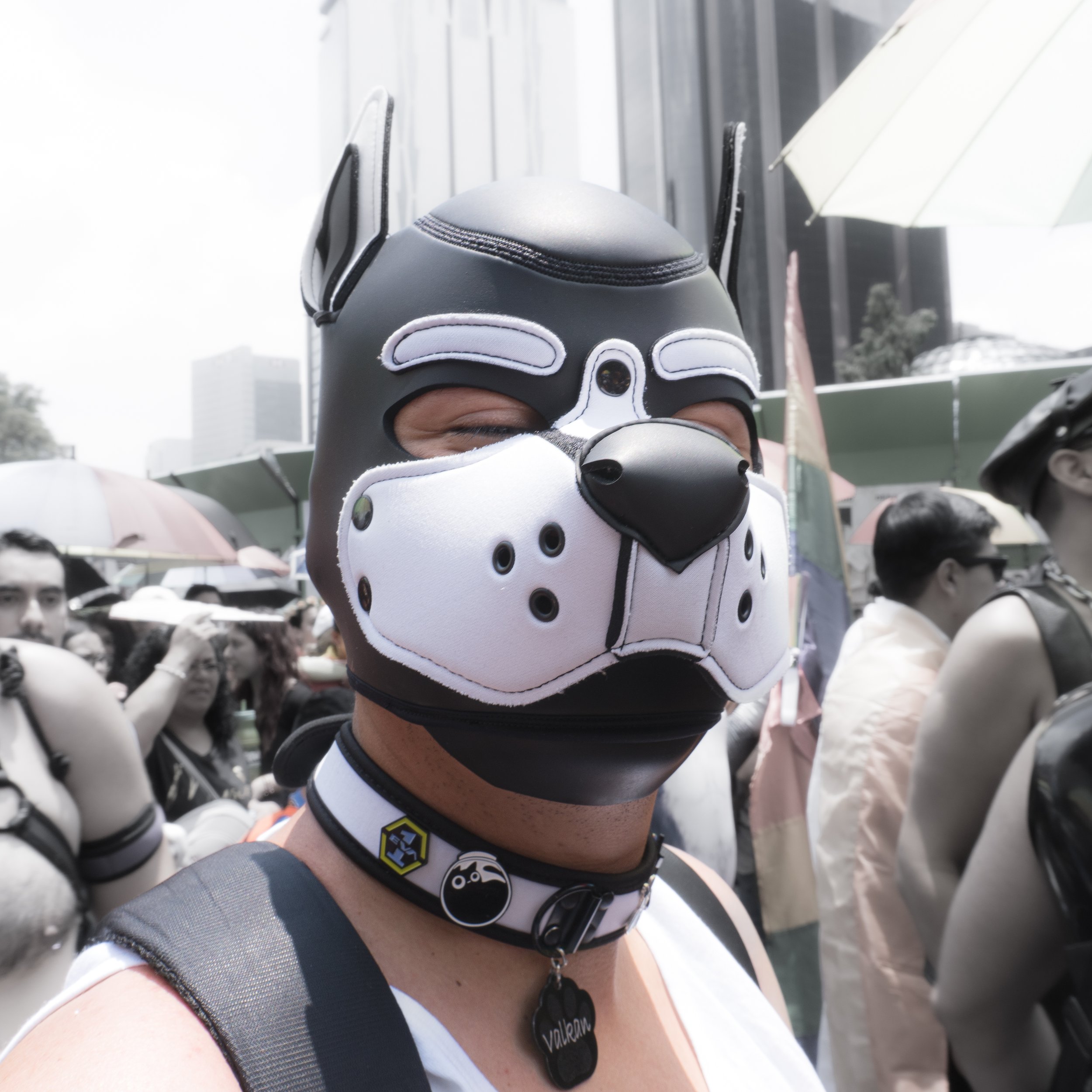 DSC01104.jpg