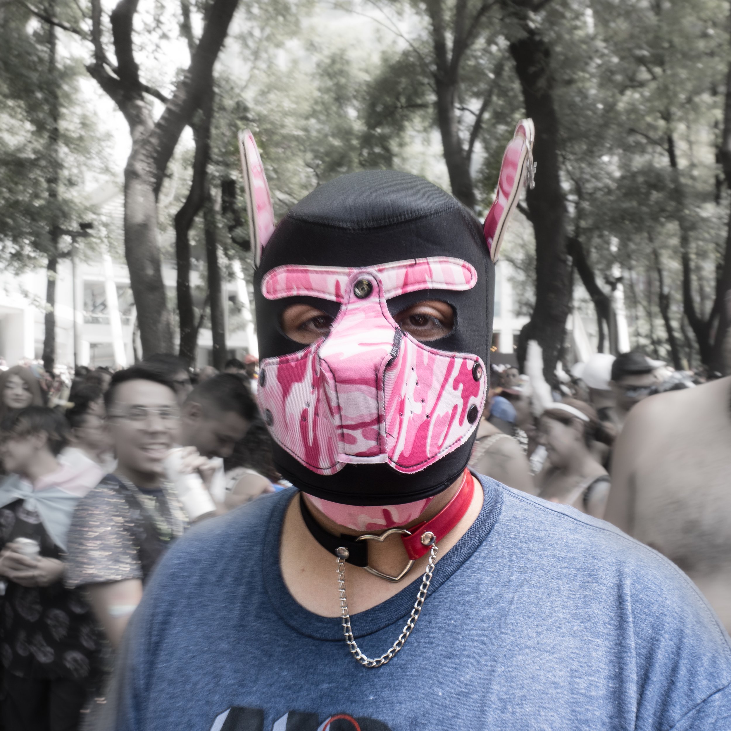 DSC01144.jpg