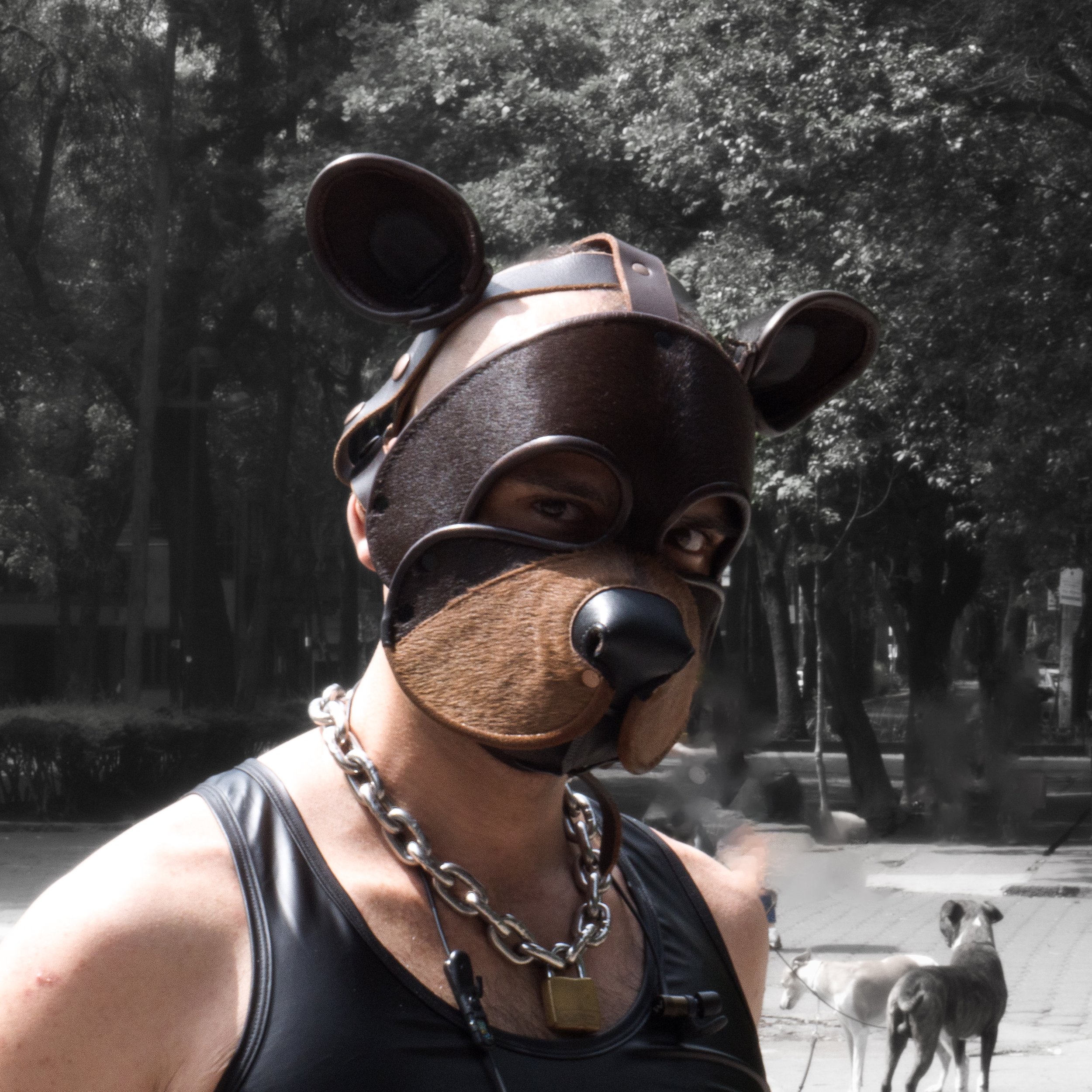 DSC00734.jpg