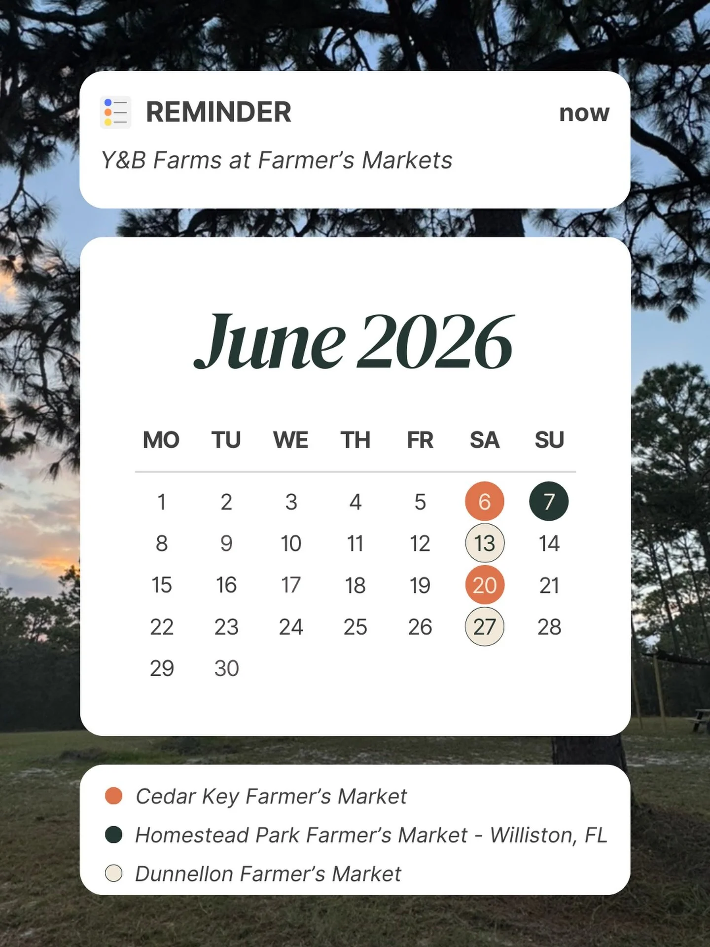 📍 Where to find Y&amp;B Farms this June!

Come stock up on pasture-raised pork and support local farming. We can&rsquo;t wait to see familiar faces and meet new ones.

📅 Cedar Key Farmers Market
June 6 &amp; 20 | 8 AM &ndash; 1 PM
Back lot of 497 2