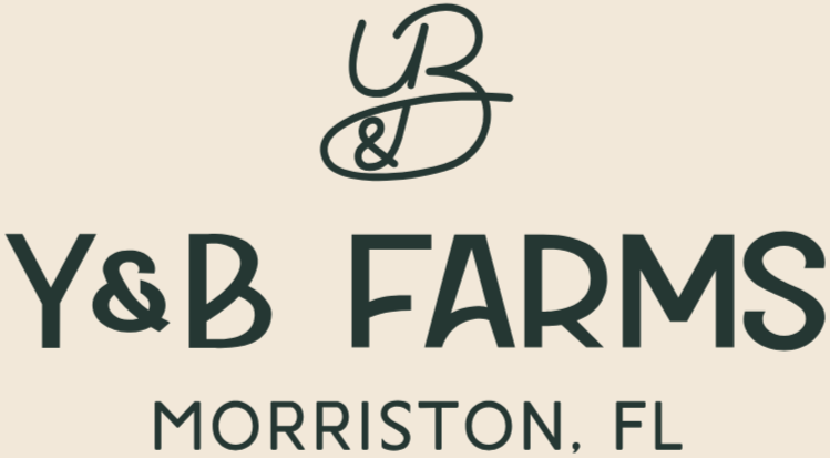Y&amp;B FARMS