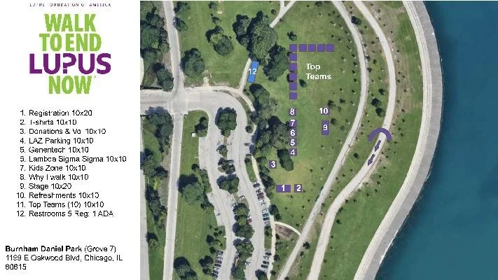 Chicago Walk to End Lupus Now