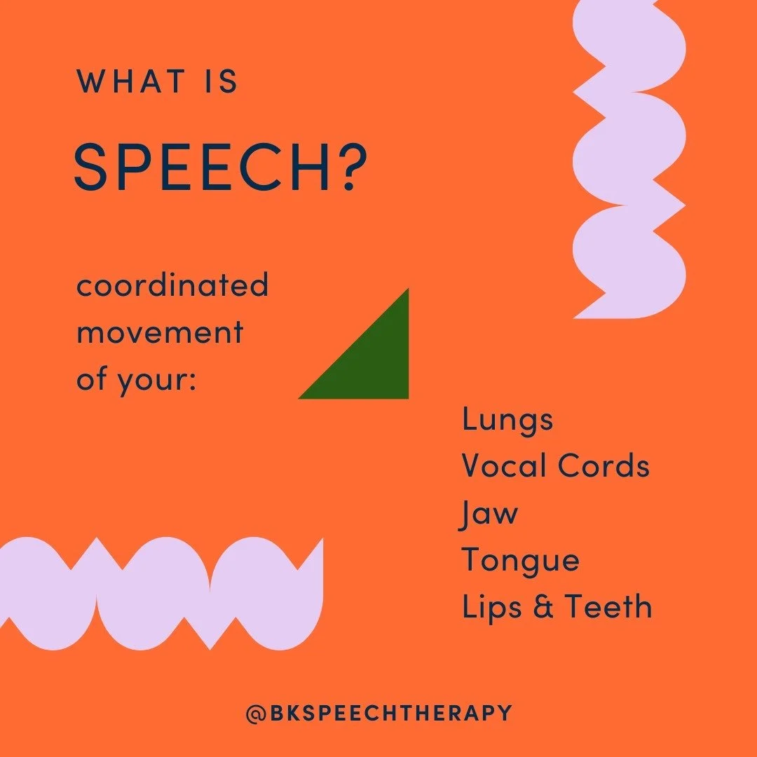 "Speech" is one of those words that makes you think "Oh, yeah I obviously know what that is..". And then you and your child start working with a speech therapist and the complexity of its true definition comes to light. We could g