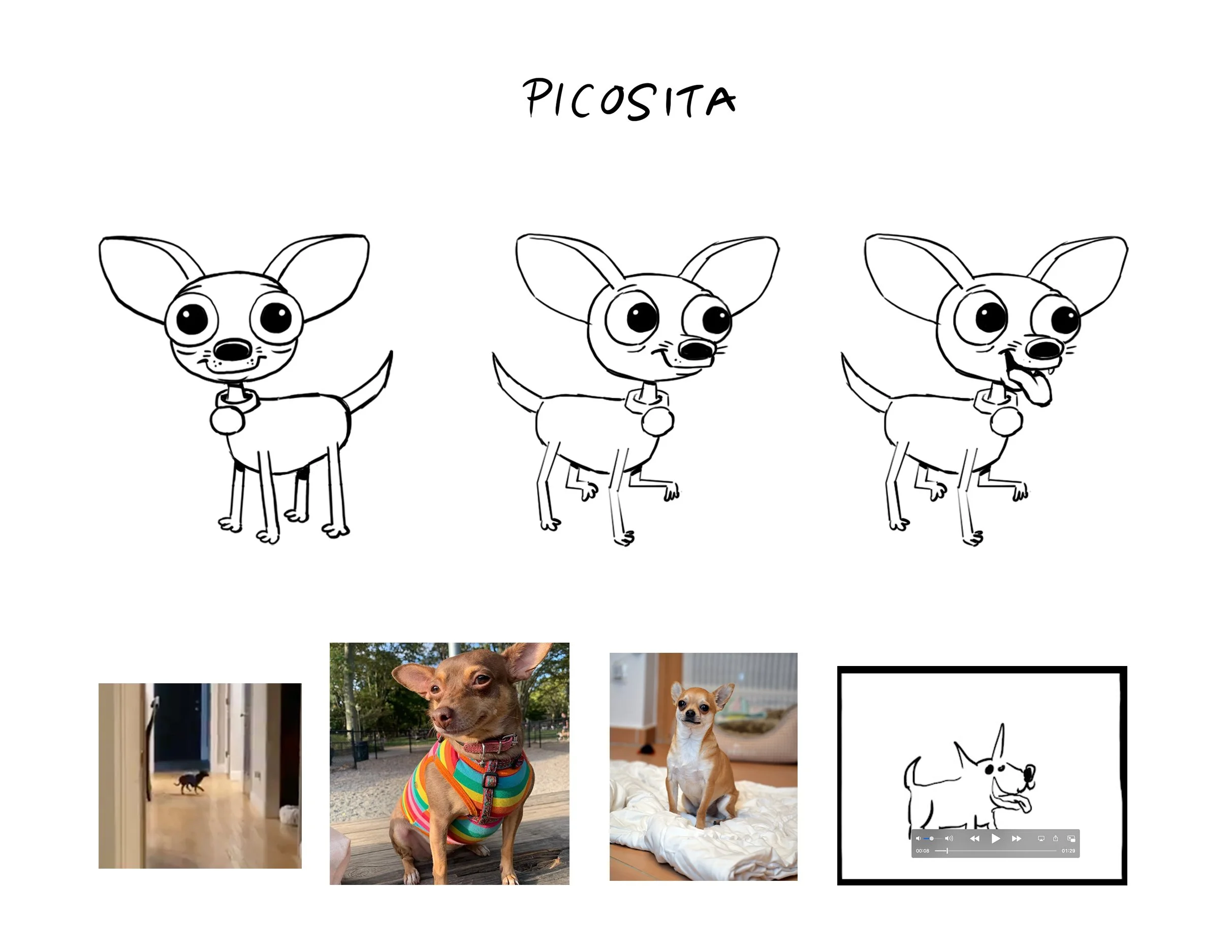 Pedegree_Picosita_v01.jpg