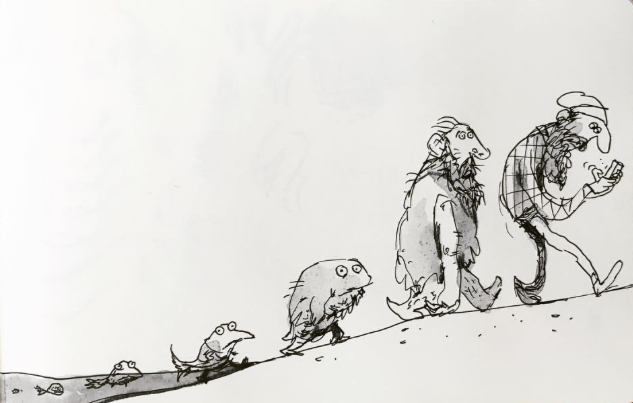 Evolution