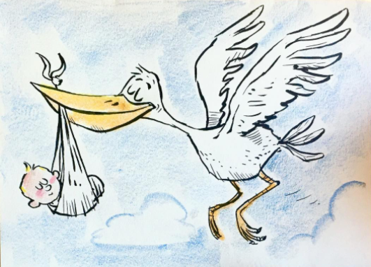 Stork