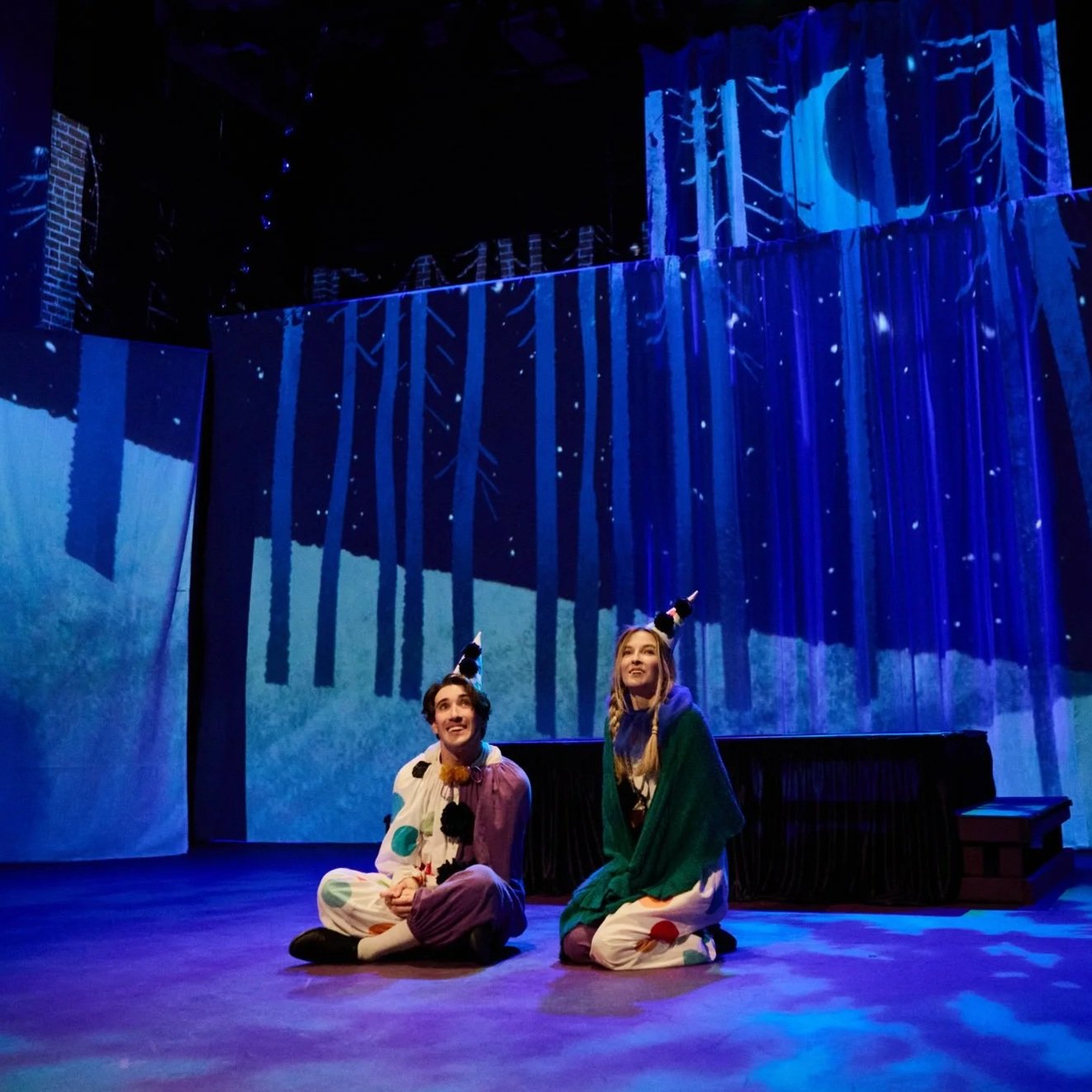 Theater Projections