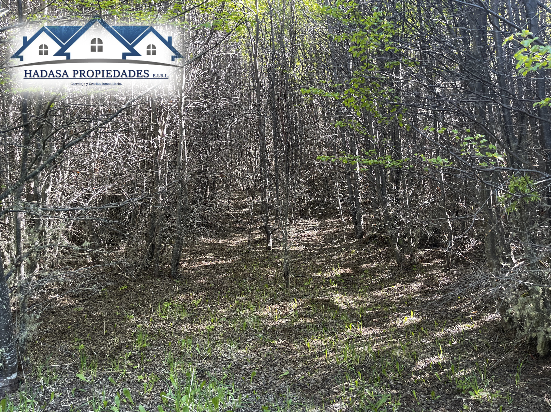 Captura de pantalla 2025-11-27 a la(s) 11.19.42 a.m..png