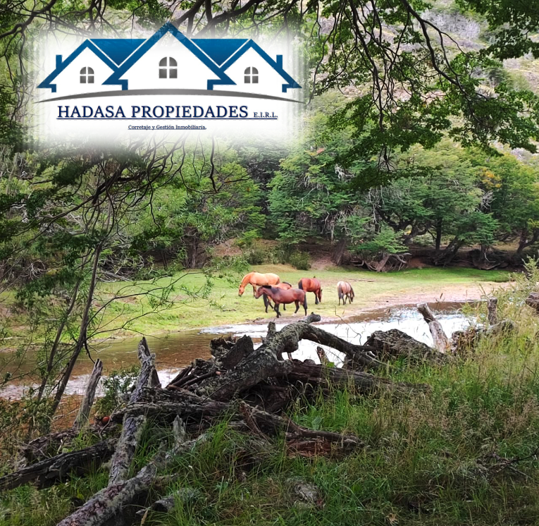 Captura de pantalla 2026-01-25 a la(s) 00.09.52.png