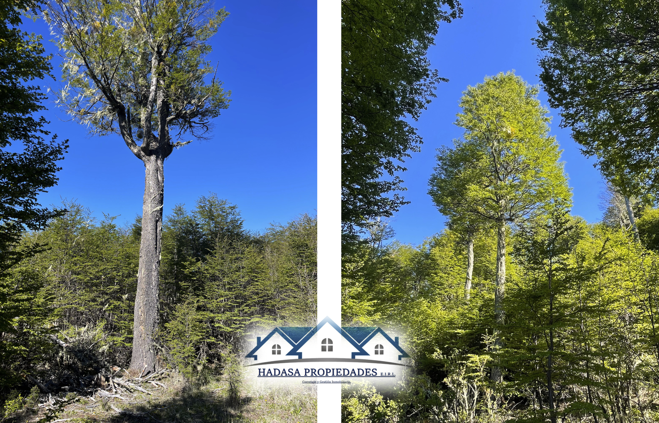 Captura de pantalla 2025-11-27 a la(s) 11.21.45 a.m..png